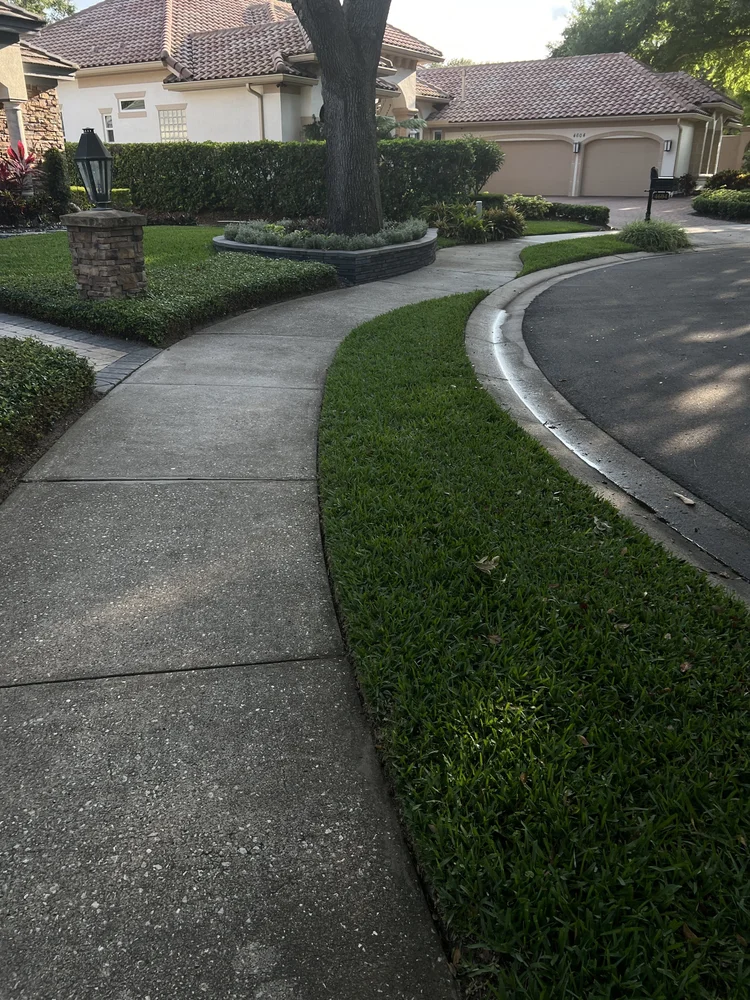Provista St. Augustine sod installed in Oviedo Florida Stonehurst
