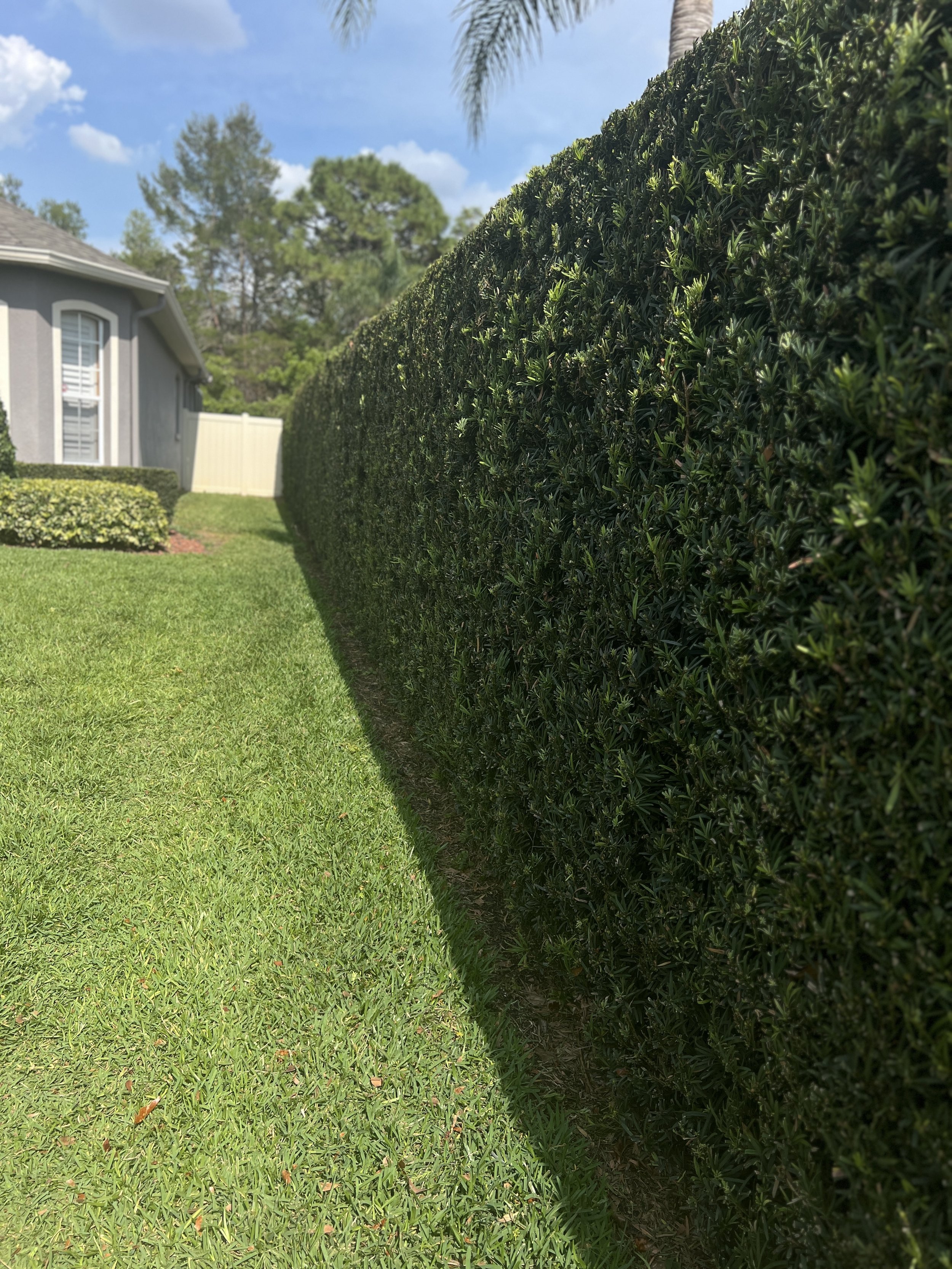 Oviedo Lawn and Landscape Services , Oviedo Sod Installation , Oviedo Irrigation Services , Winter Park Sod Installation Service , Winter Park Lawn and Landscape Services , Winter Park Irrigation Services . Winter Springs Sod Installations , Winter