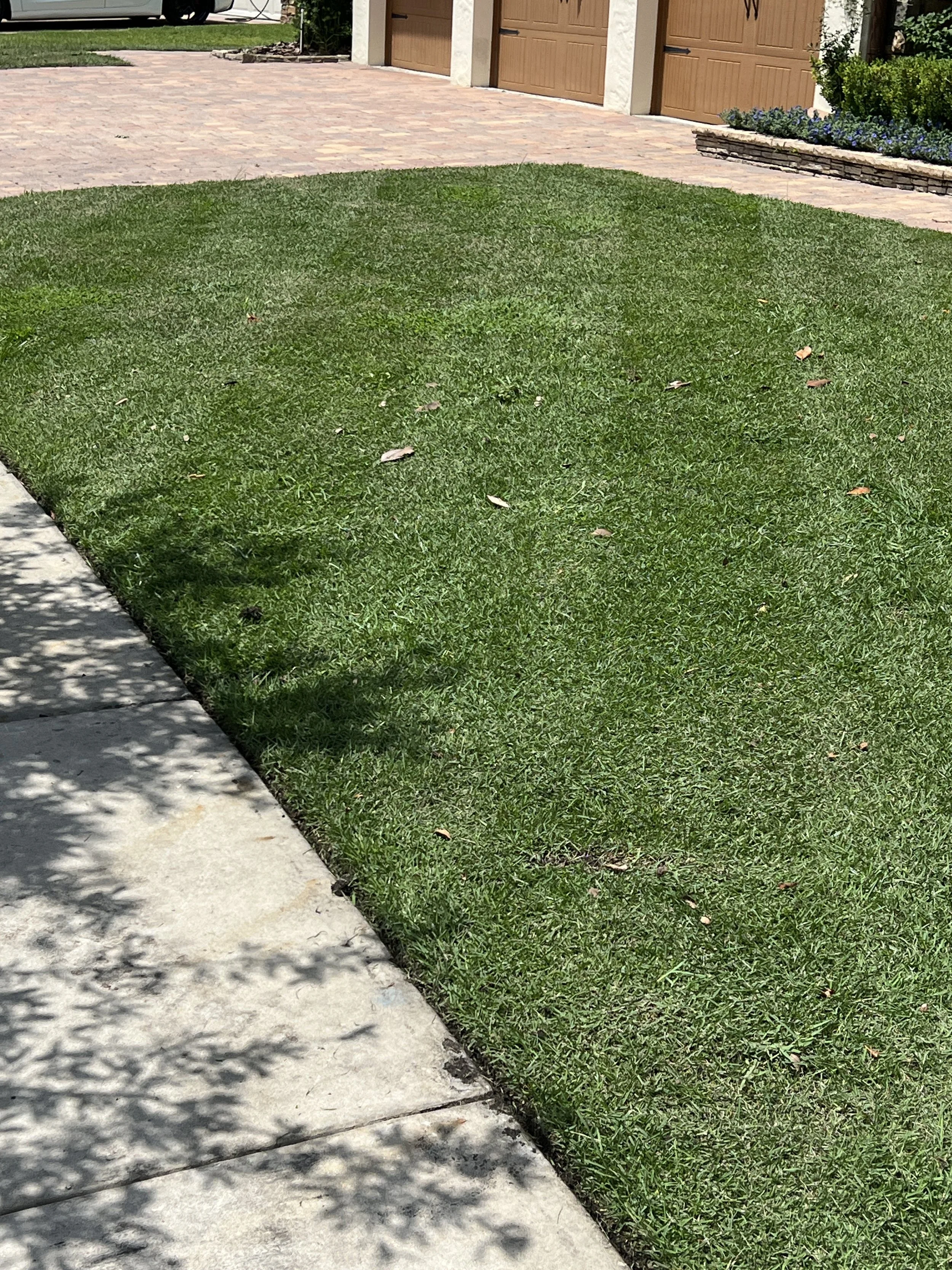 Zoysia Sod installation and other Horticultural Services provided by Michael Geist's Yard Work in this Winter Springs Lawn and Landscape in Zone 9b Winter springs florida