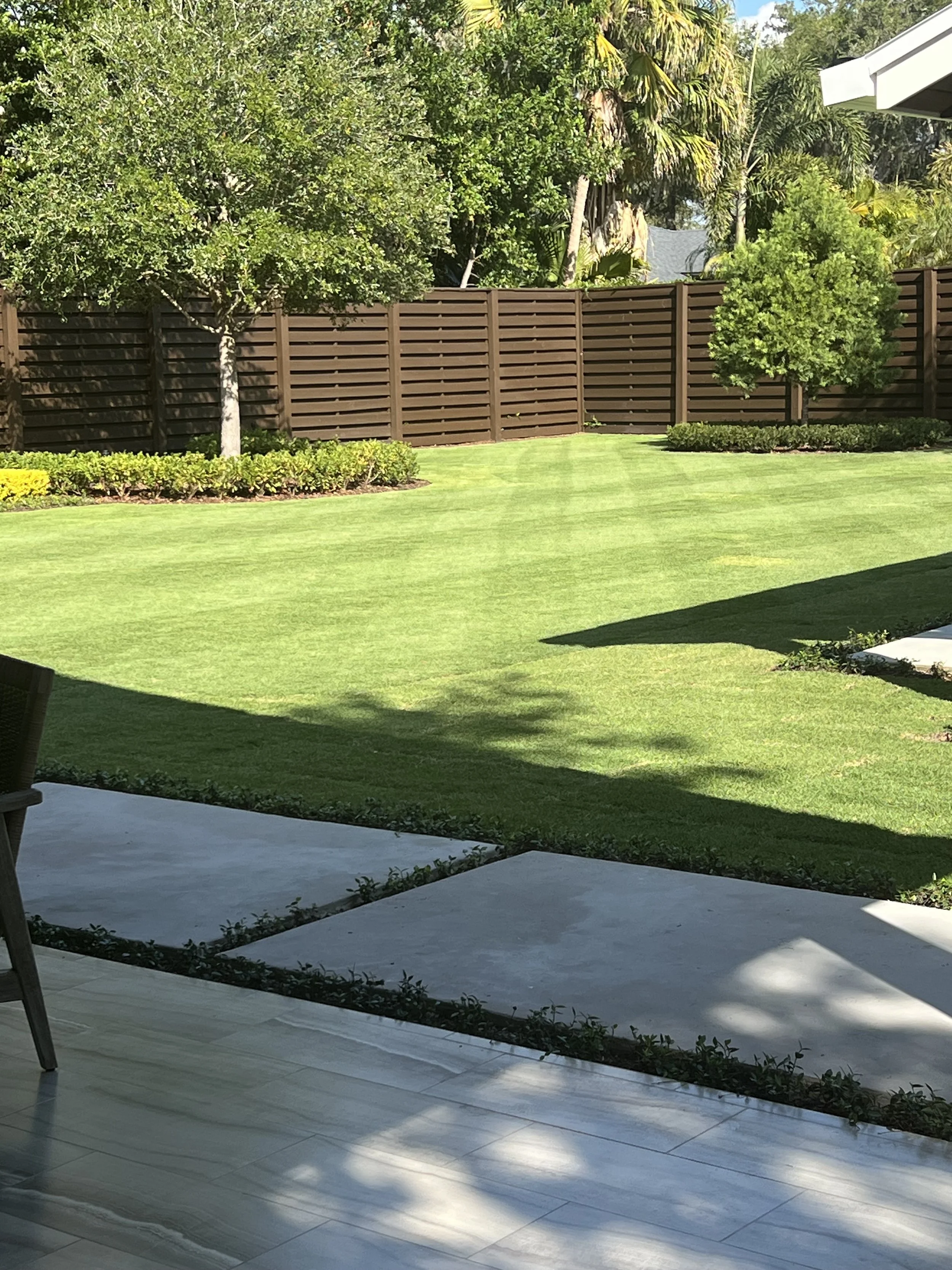 CitraZoy Zoysia sod retaining color.  Picture of Citrazoy  Zoysia SOD from december of 2025 . Beautiful Zoysia Sod - Zone b  - Winter Park / Maitland Florida .   Michael Geist's Yard Works 