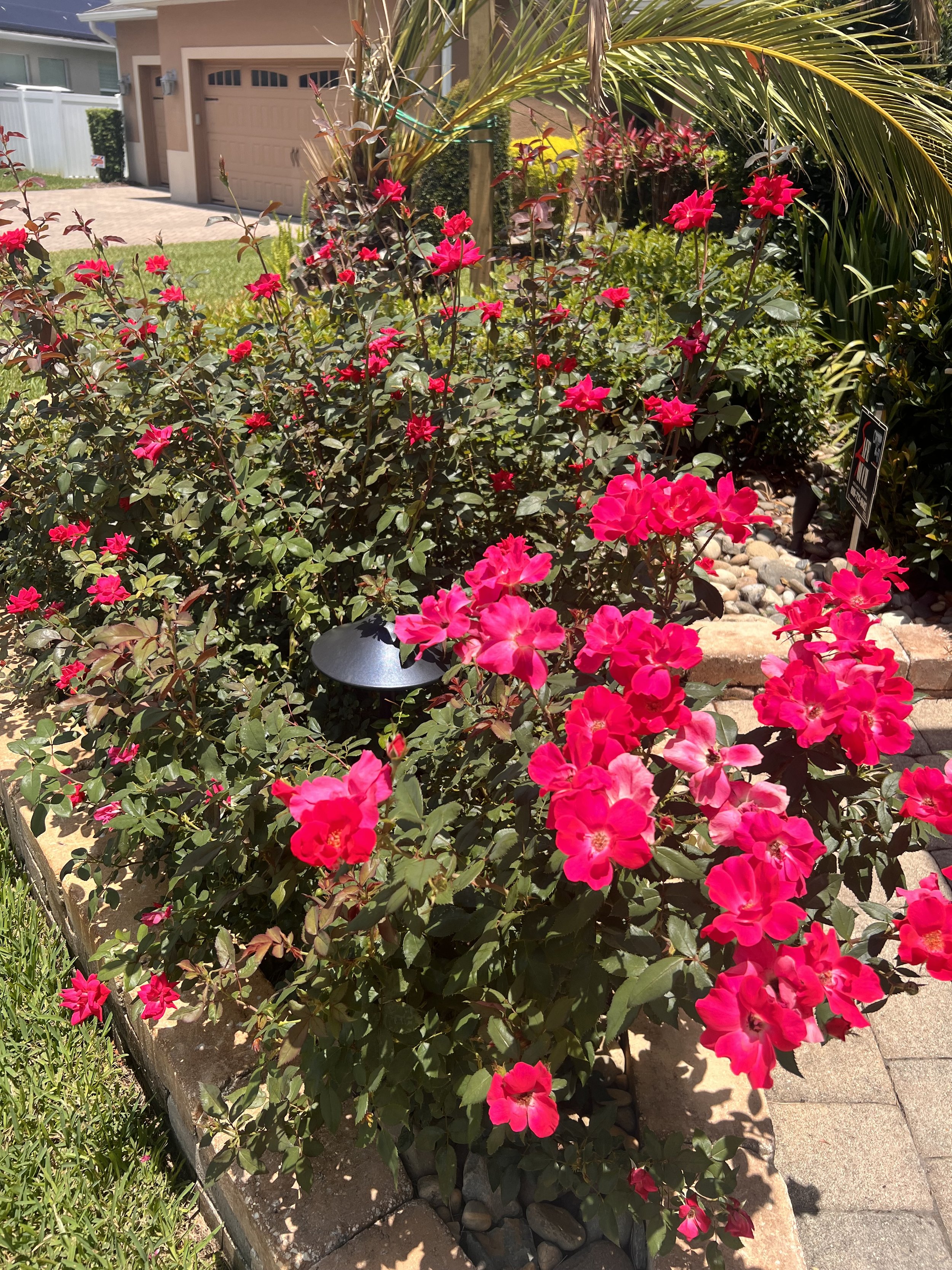 Oviedo Lawn and Landscape Services , Oviedo Sod Installation , Oviedo Irrigation Services , Winter Park Sod Installation Service , Winter Park Lawn and Landscape Services , Winter Park Irrigation Services . Winter Springs Sod Installations , Winter