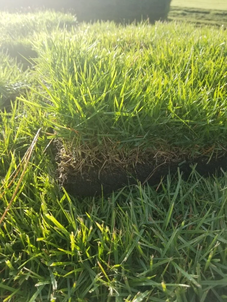 Sod Installations in Winter Park , Oviedo and Winter Springs