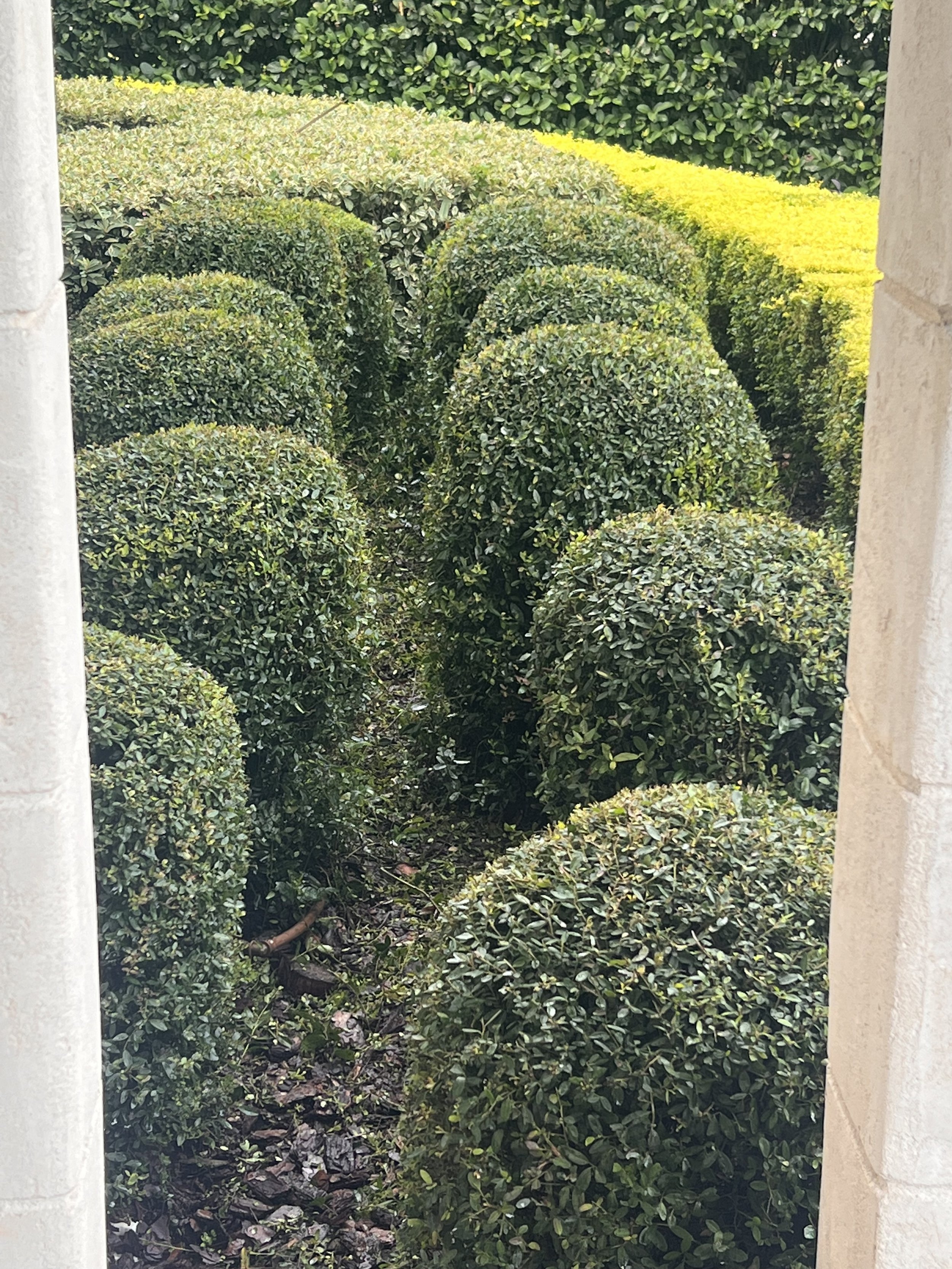 Oviedo Lawn and Landscape Services , Oviedo Sod Installation , Oviedo Irrigation Services , Winter Park Sod Installation Service , Winter Park Lawn and Landscape Services , Winter Park Irrigation Services . Winter Springs Sod Installations , Winter