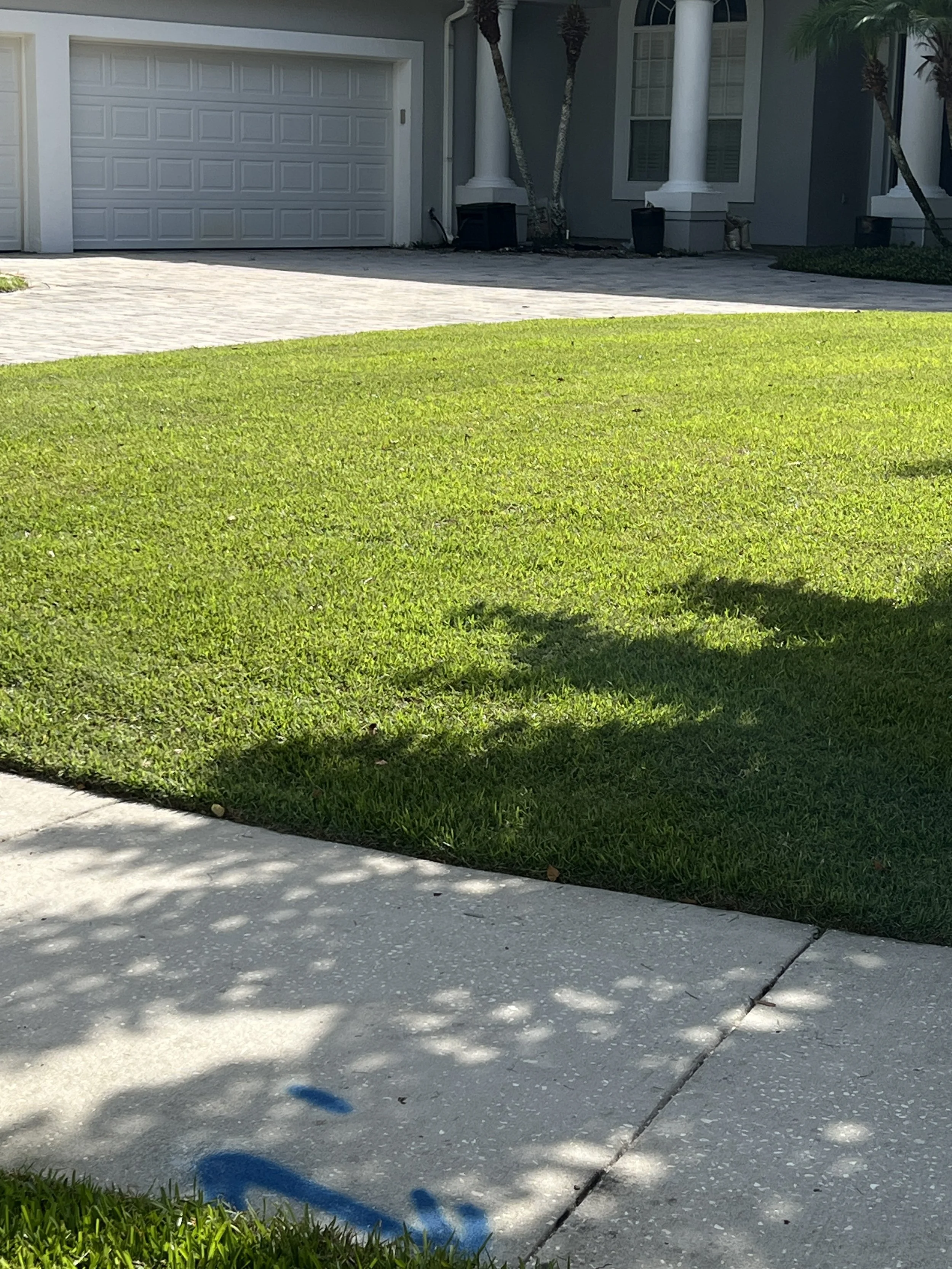 The Benefits of Reel Mowing for Zoysia Sod: Elevate Your Lawn with Michael Geist’s Yard Works Horticultural Services 