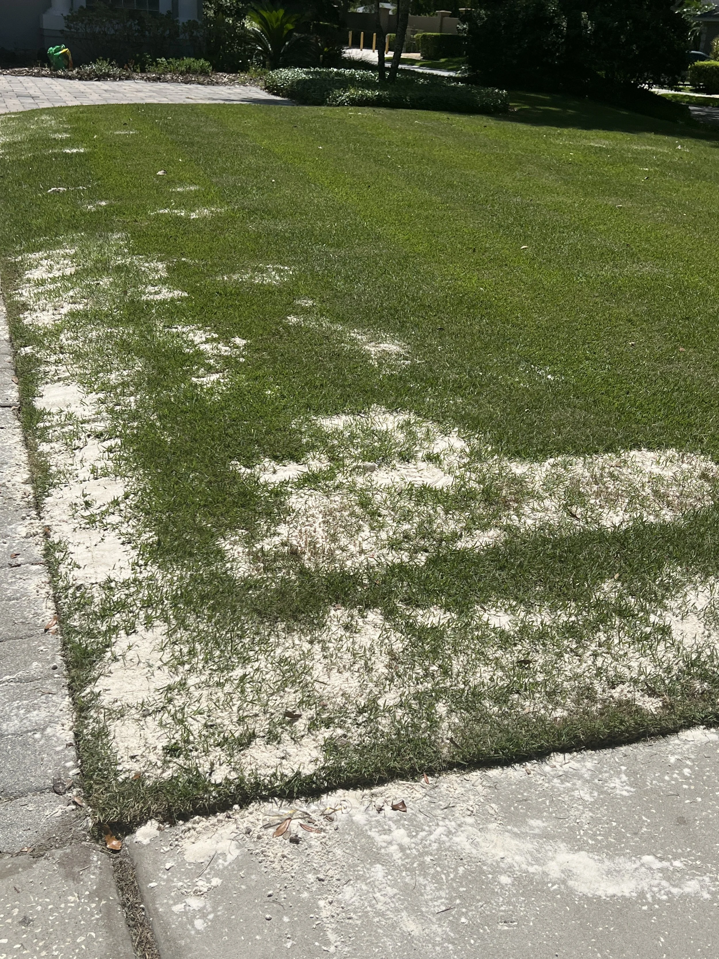 The Benefits of Topdressing St. Augustine and Zoysia Sod Lawns in Central Florida