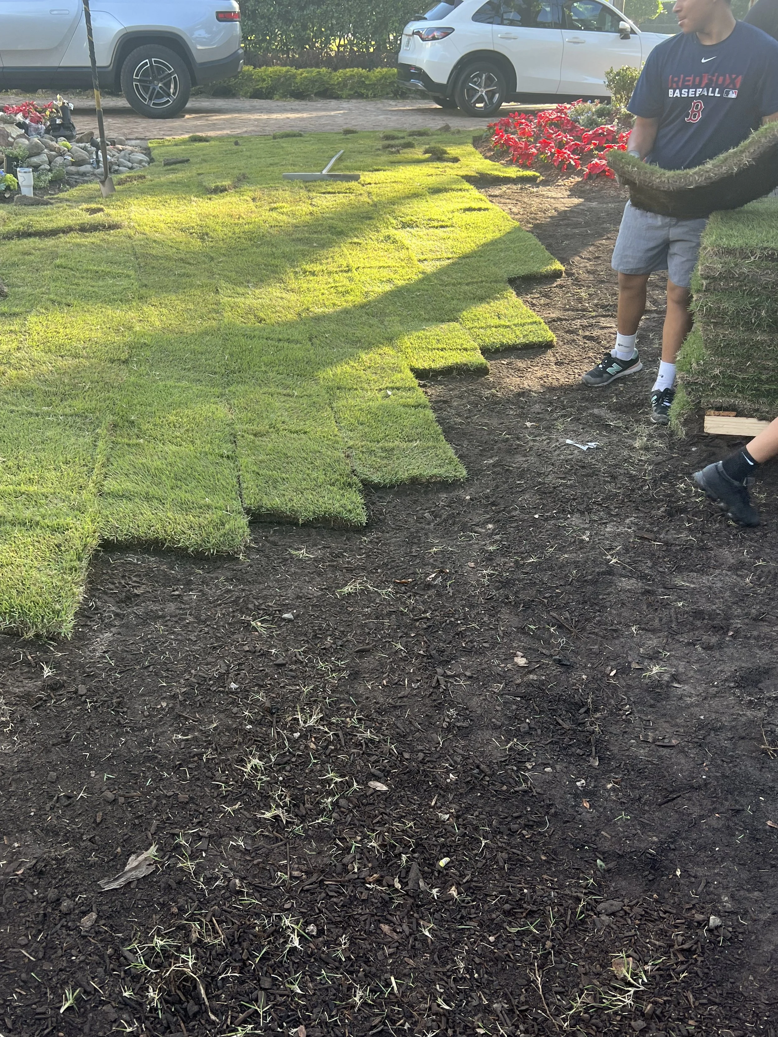 Sod Installation