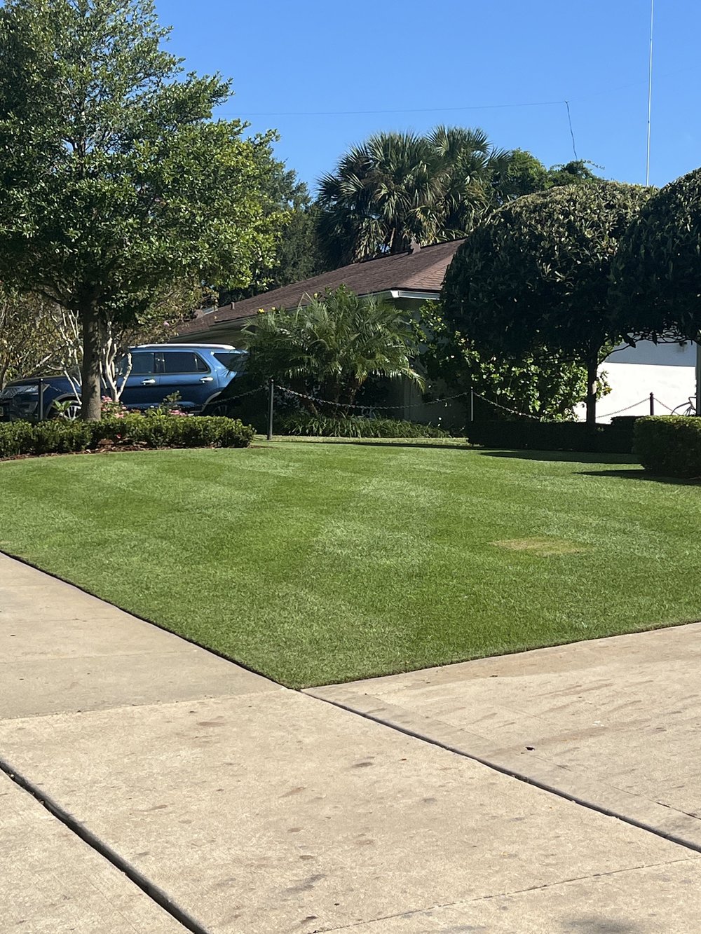 Reel-cut CitraZoy zoysia lawn with a striped finish in Sanford FL by Michael Geist's Yard Works