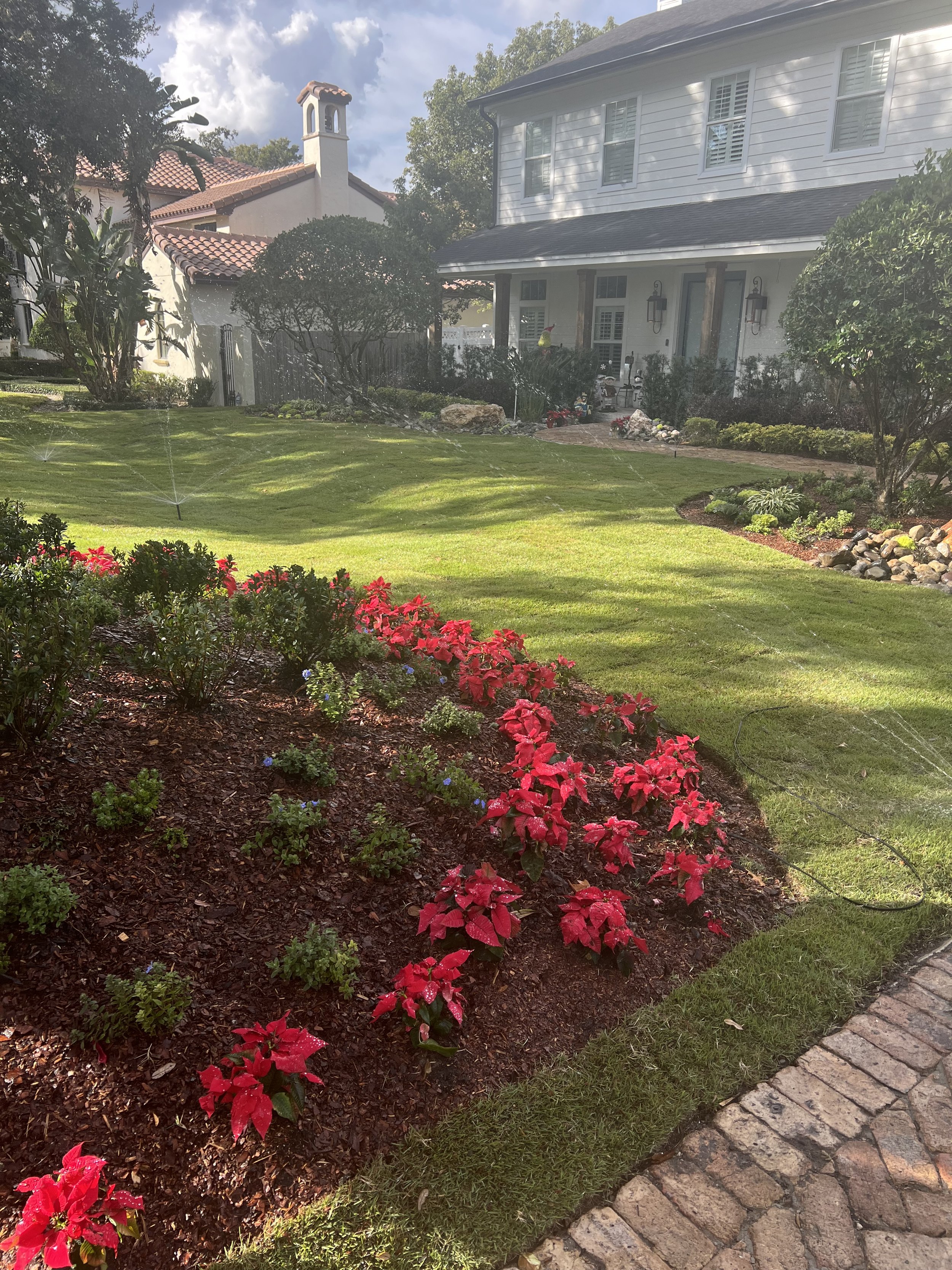 WInter Park Landscape Installation and renovation at 1411 Place Picardy including CitraZoy Zoysia Sod Installation which is watered by a irrigation make over that includes conversion over to Hunter MPR's .   RockBed Landscape Make over . All work com