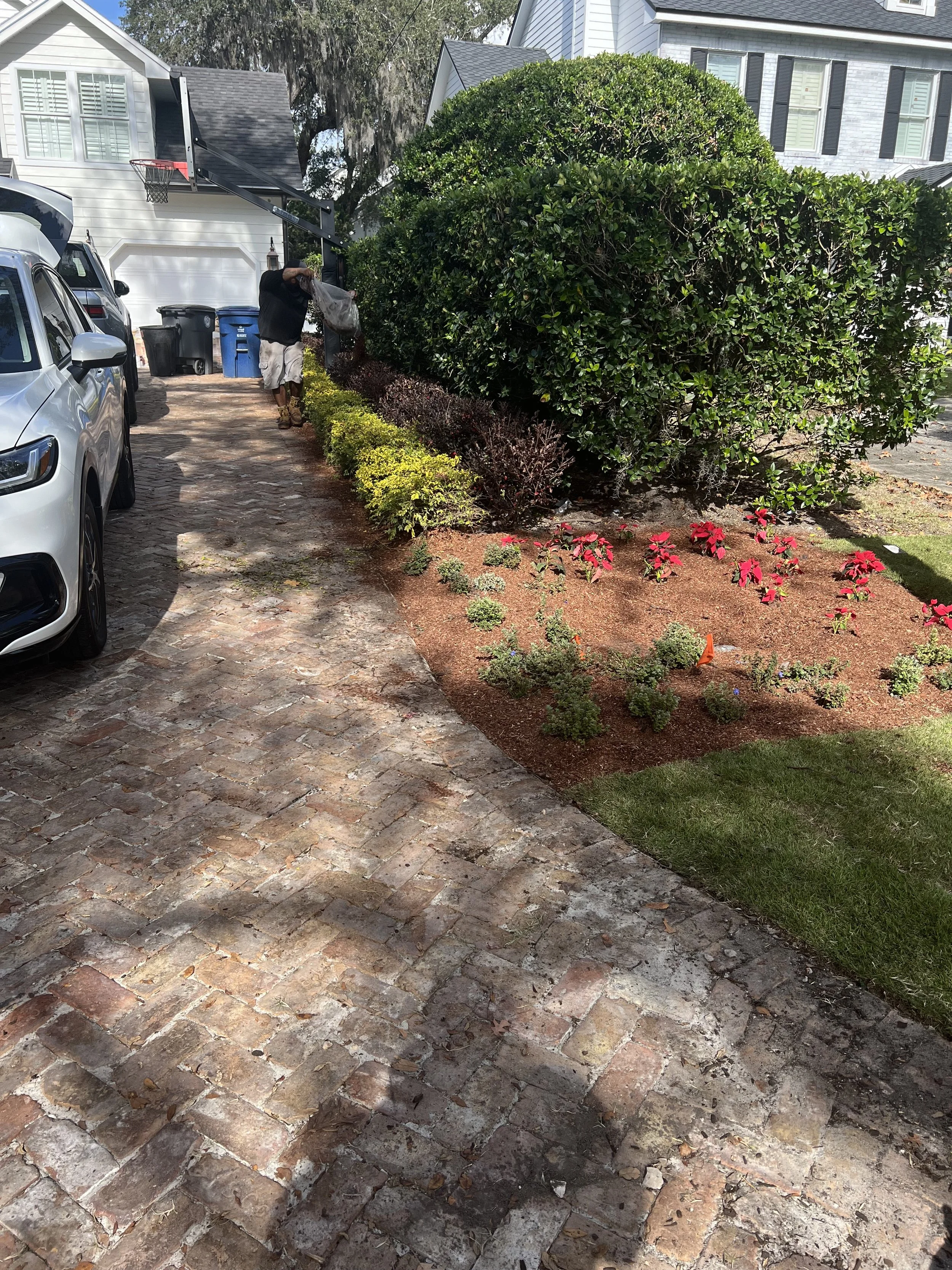 WInter Park Landscape Installation and renovation at 1411 Place Picardy including CitraZoy Zoysia Sod Installation which is watered by a irrigation make over that includes conversion over to Hunter MPR's .   RockBed Landscape Make over . All work com