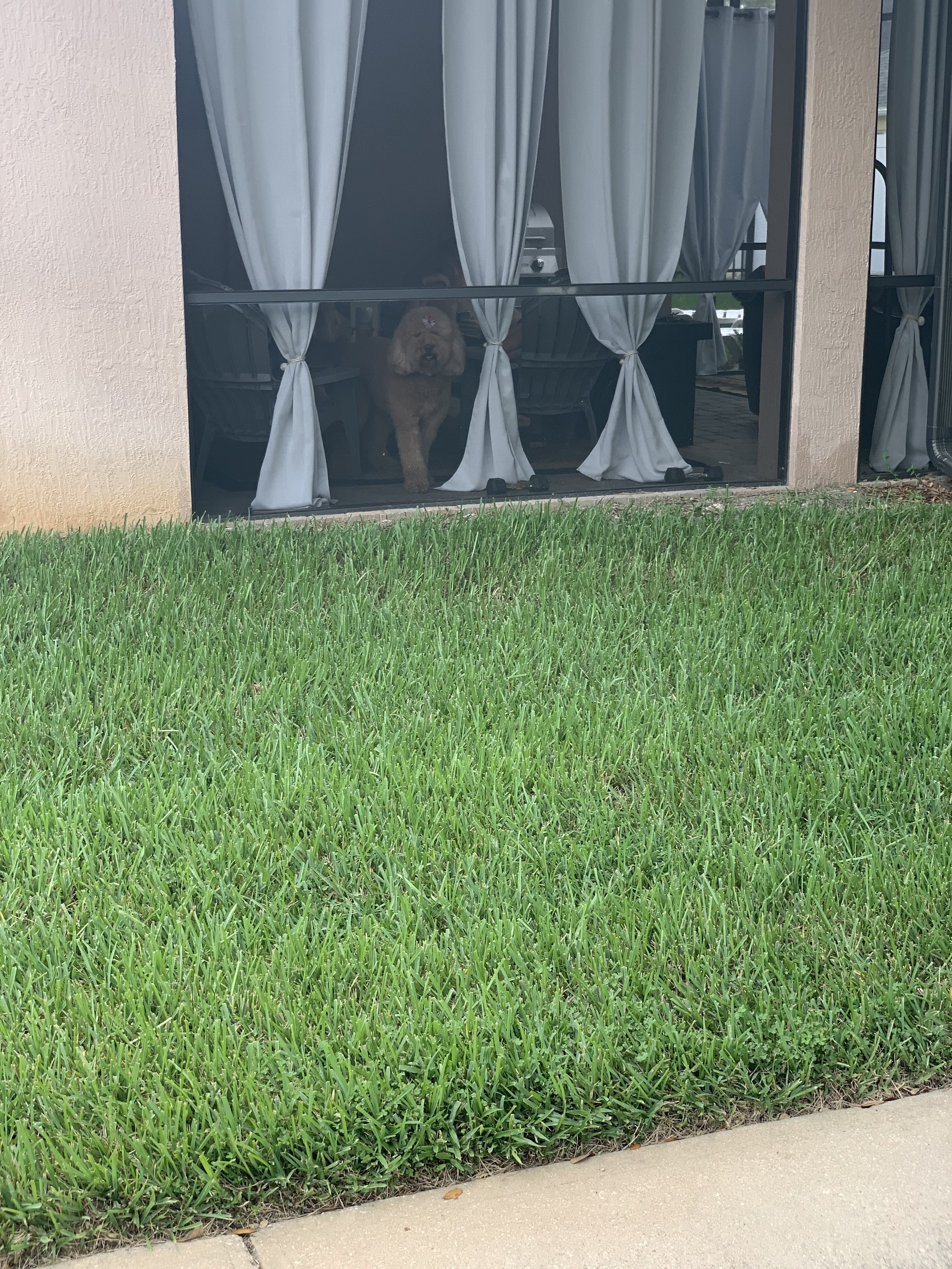 Oviedo Lawn and Landscape Services , Oviedo Sod Installation , Oviedo Irrigation Services , Winter Park Sod Installation Service , Winter Park Lawn and Landscape Services , Winter Park Irrigation Services . Winter Springs Sod Installations , Winter