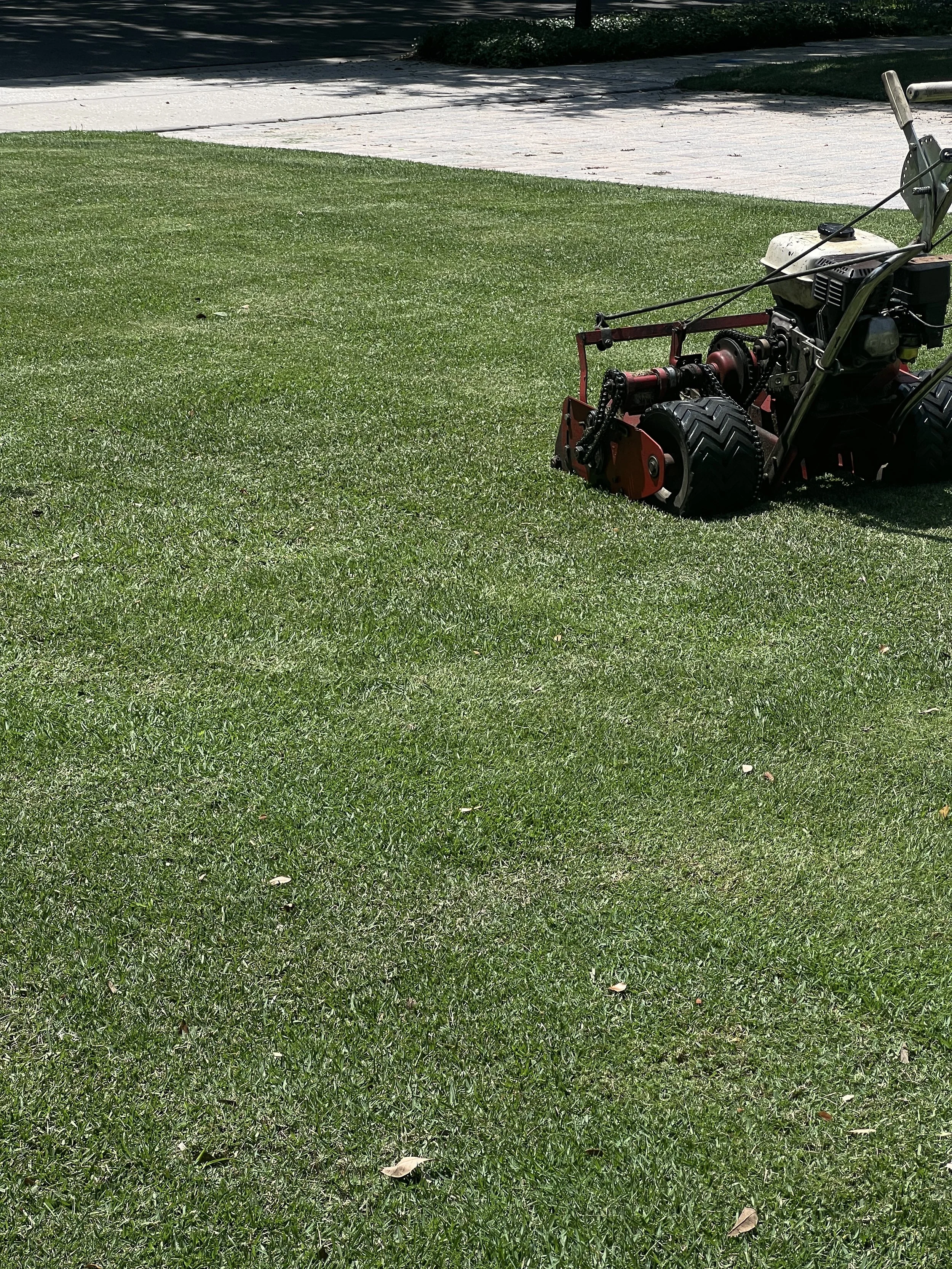 Empire Zoysia Sod Reel Cut down sub 1 inch for density and Performance in this OVIEDO LAWN.   Empire Zoysia Sod Installed and top dressed by Michael Geist's Yard Works.