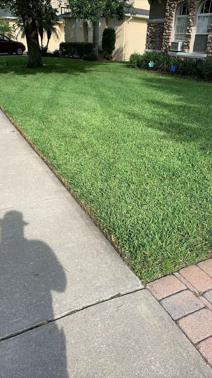 Established ProVista St. Augustine lawn installed over prepared soil in Oviedo Florida