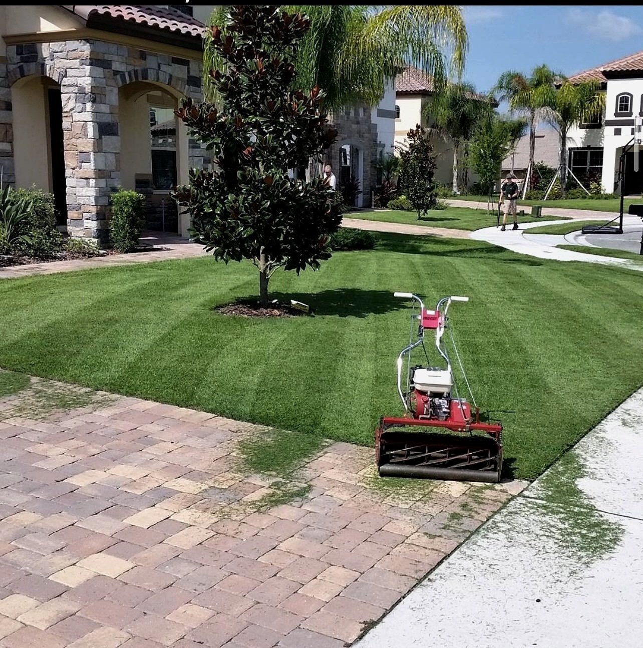 Zeon Zoysia sod striped lawn in Winter Park