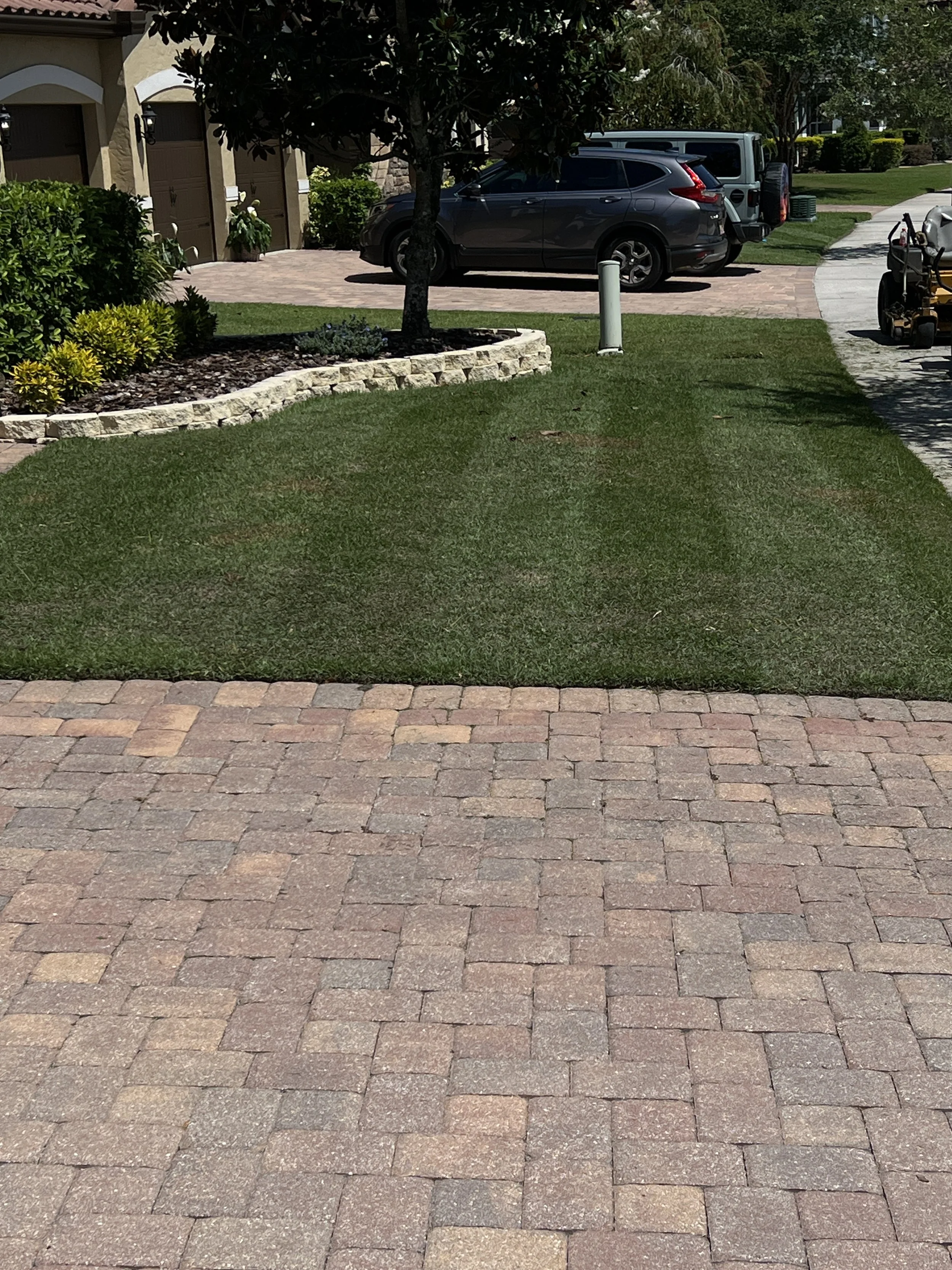 Winter Springs Zoysia Reel Cut .  Lawn maintenance and horticultural services provided by Michael Geist's Yard Works