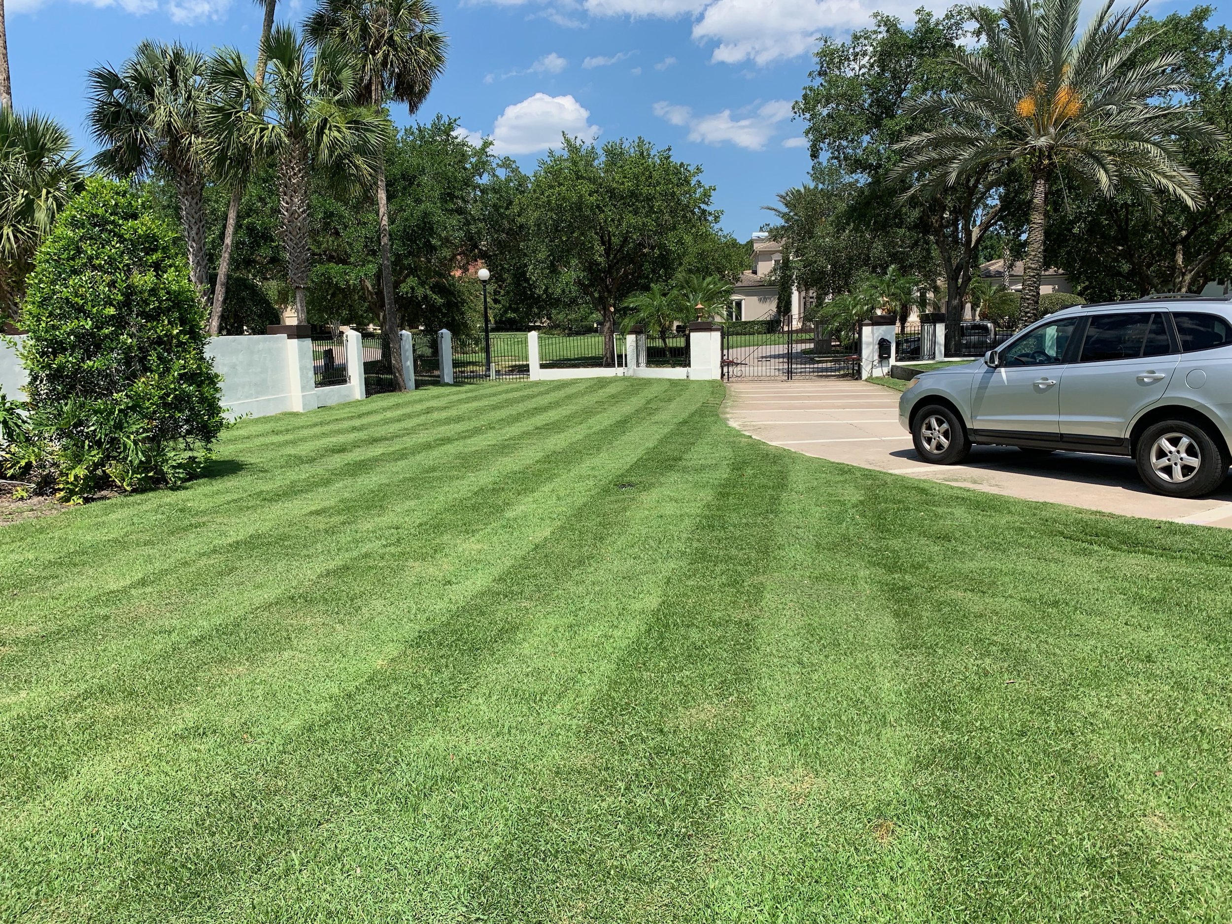 Well-maintained green grass lawn with striped pattern, bordered by palm trees and a white fence, adjacent to a parking lot with a silver SUV, under a partly cloudy blue sky.