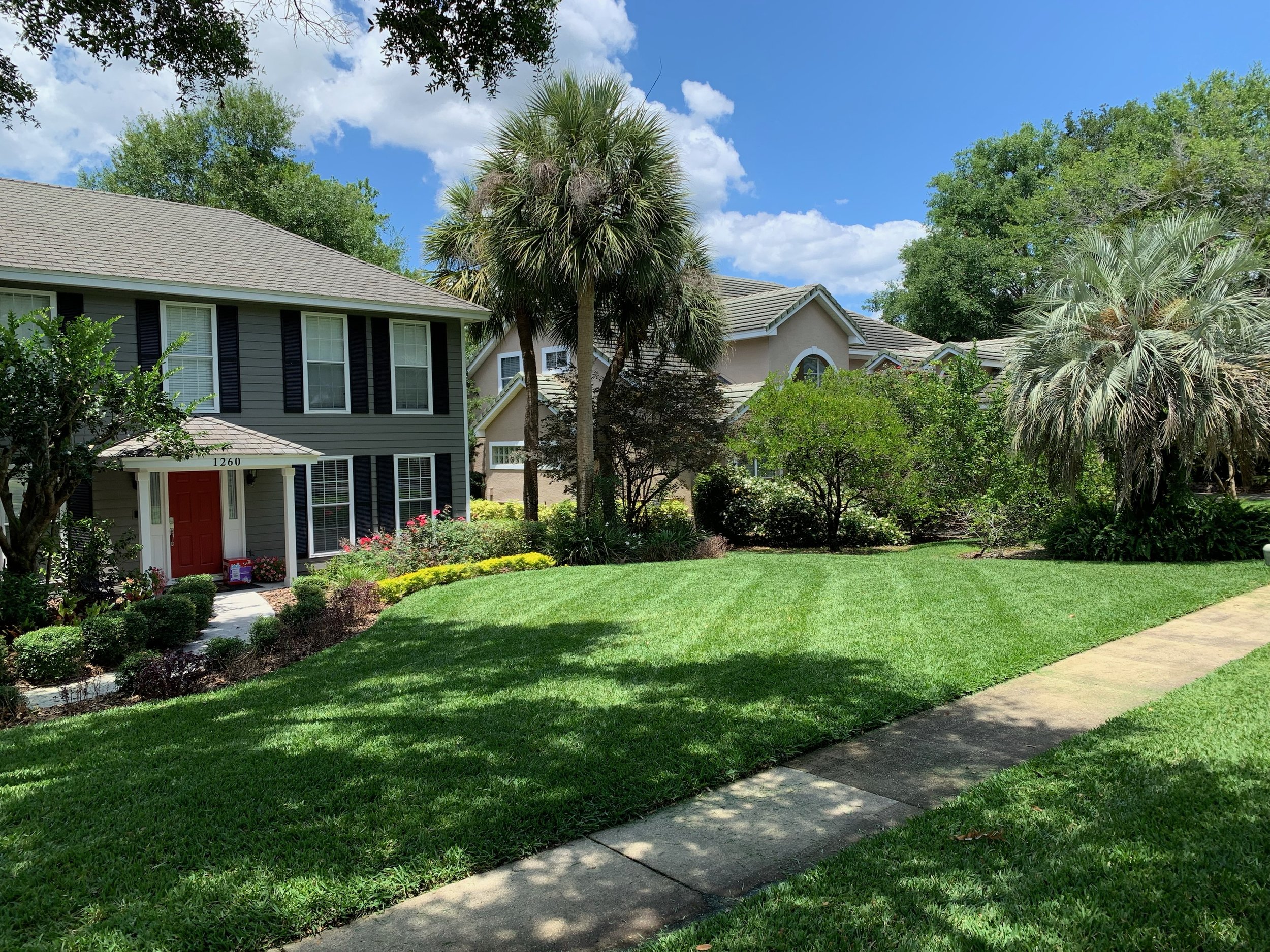 Maitland Landscape and sod | Michael Geist's Yard Works