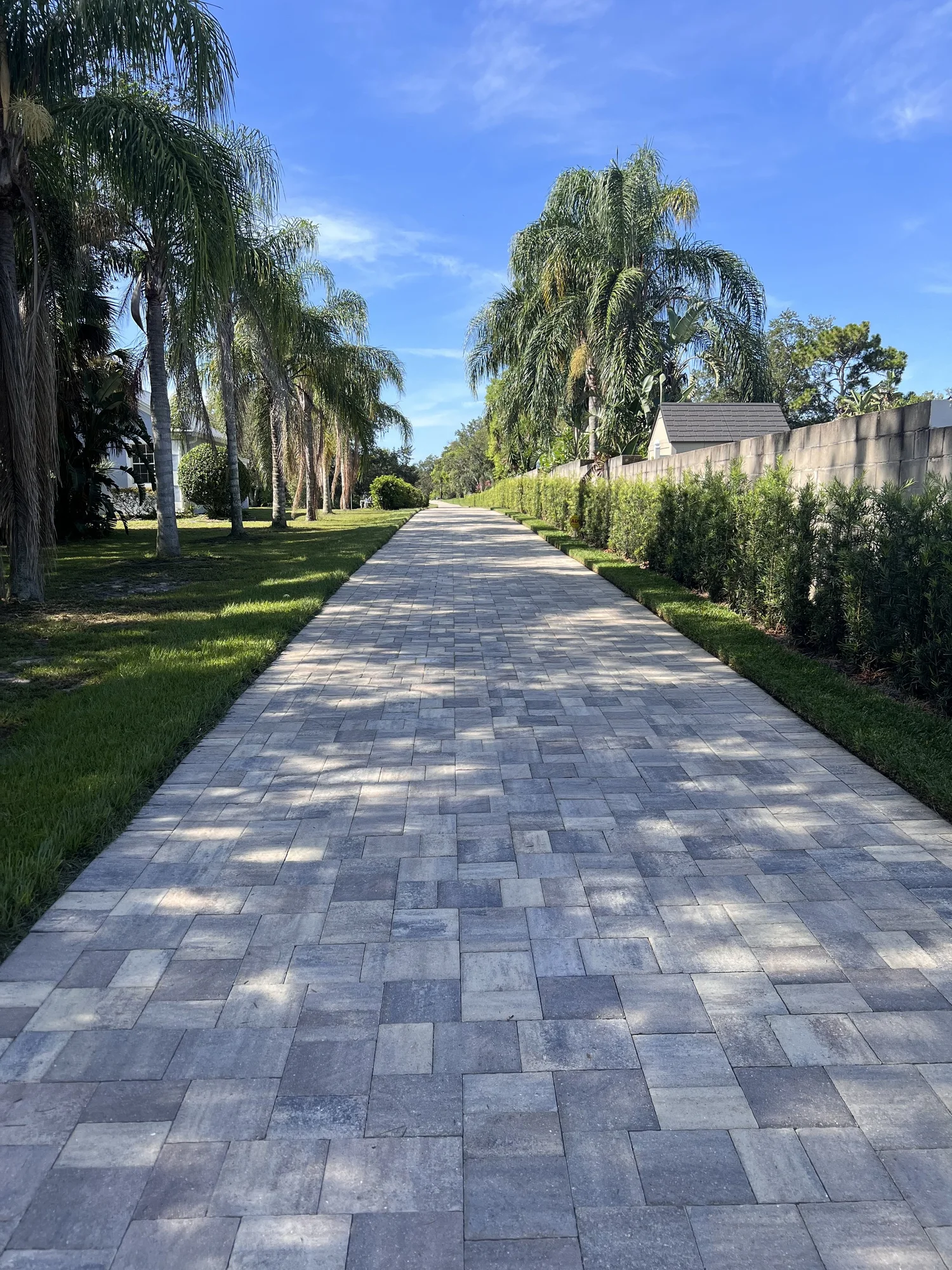 Long gray paver driveway lined with palms and fresh lawn, installed by Michael Geist's Yard Works