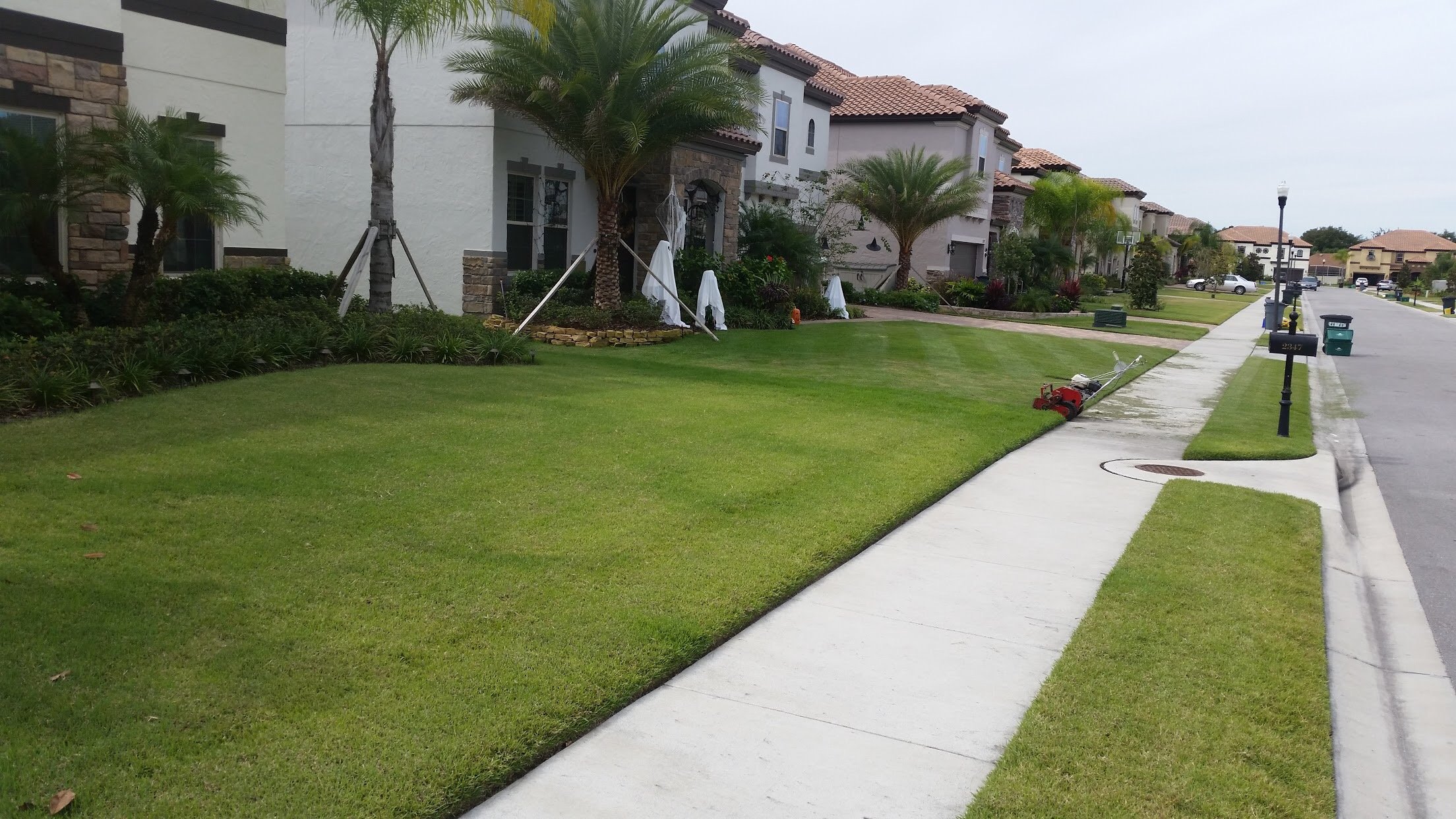 Oviedo Lawn and Landscape Services , Oviedo Sod Installation , Oviedo Irrigation Services , Winter Park Sod Installation Service , Winter Park Lawn and Landscape Services , Winter Park Irrigation Services . Winter Springs Sod Installations , Winter