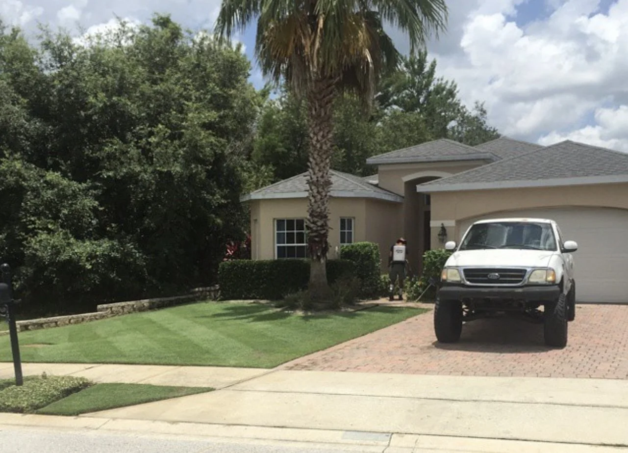 Reel Cut Empire Zoysia in Oviedo Fl | Michael Geist's Yard Works