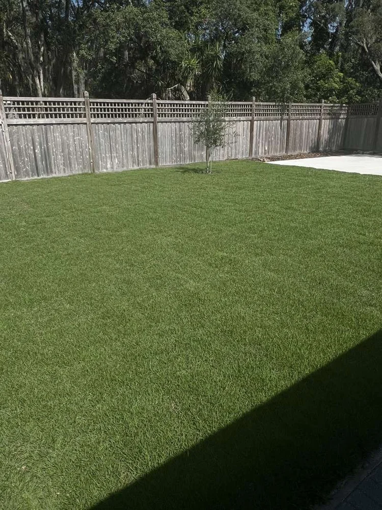 Lush new St. Augustine sod lawn in an Oviedo Florida backyard installed by Michael Geist's Yard Works