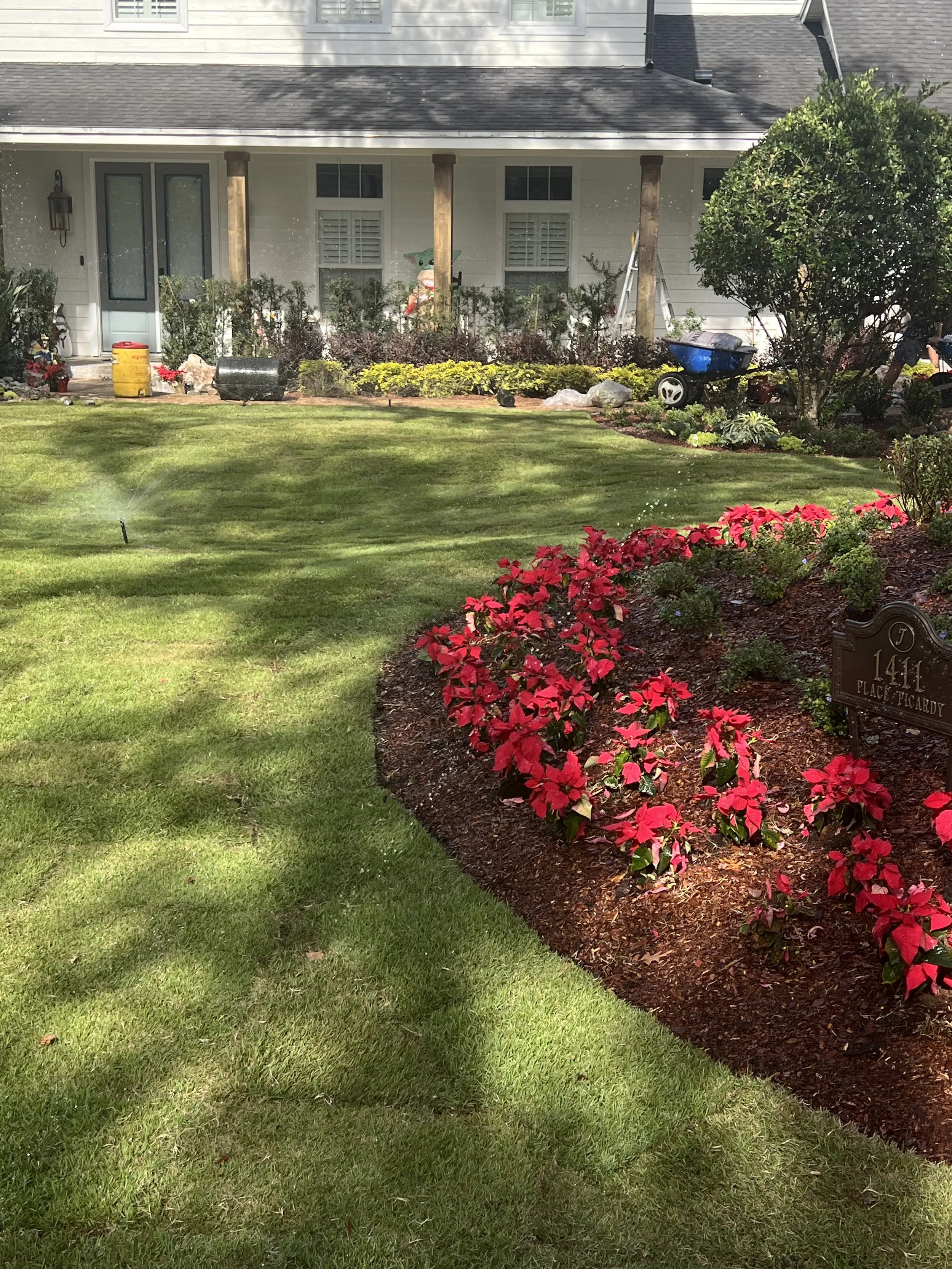 WInter Park Landscape Installation and renovation at 1411 Place Picardy including CitraZoy Zoysia Sod Installation which is watered by a irrigation make over that includes conversion over to Hunter MPR's .   RockBed Landscape Make over . All work com