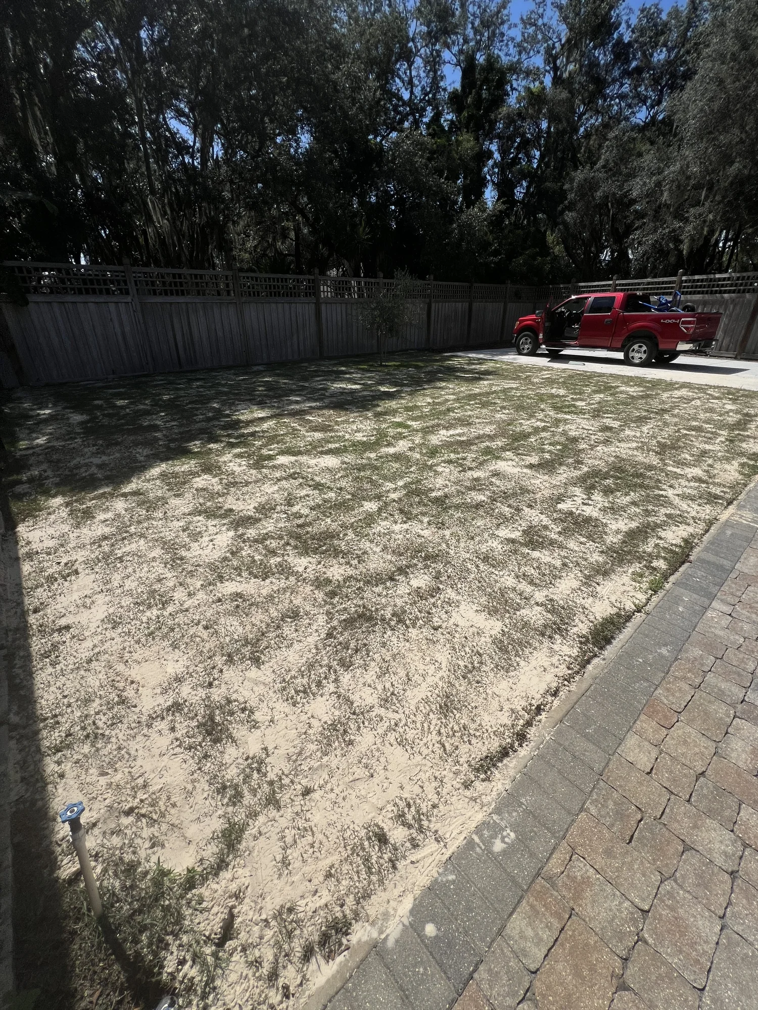 Winter Park FL lawn before top dressing — uneven surface with visible low spots and thin St. Augustine turf