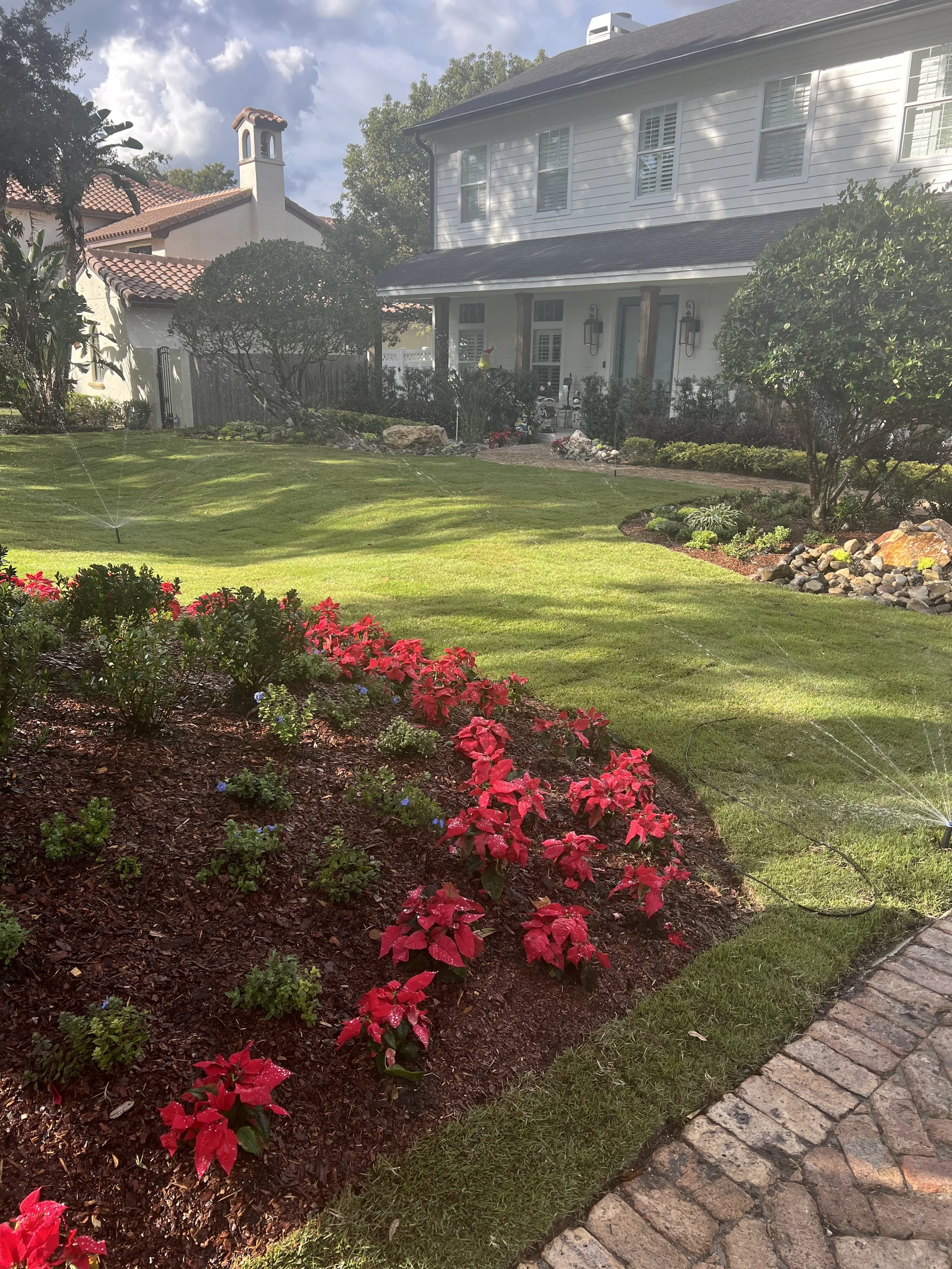 WInter Park Landscape Installation and renovation at 1411 Place Picardy including CitraZoy Zoysia Sod Installation which is watered by a irrigation make over that includes conversion over to Hunter MPR's .   RockBed Landscape Make over . All work com