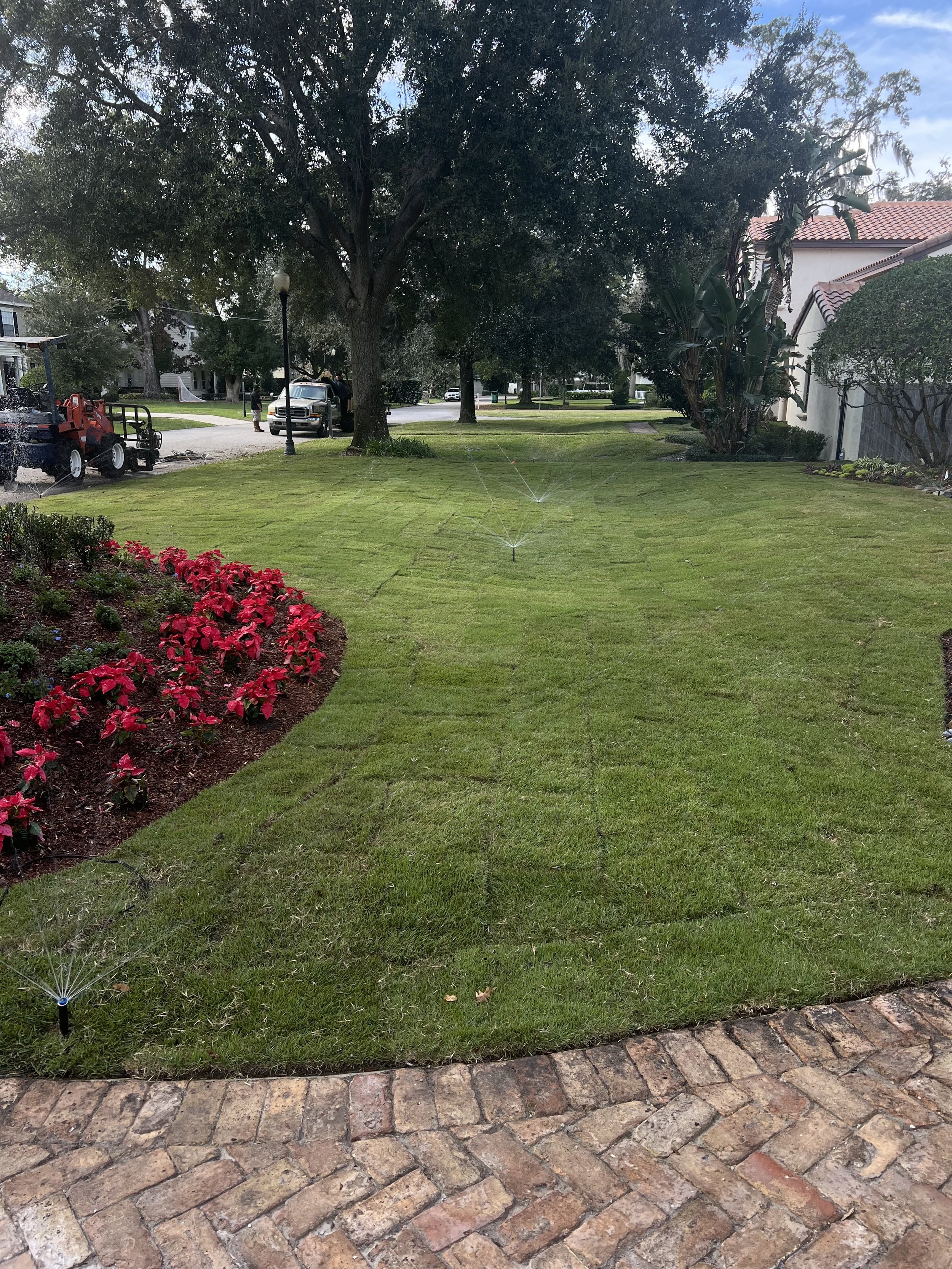 WInter Park Landscape Installation and renovation at 1411 Place Picardy including CitraZoy Zoysia Sod Installation which is watered by a irrigation make over that includes conversion over to Hunter MPR's .   RockBed Landscape Make over . All work com