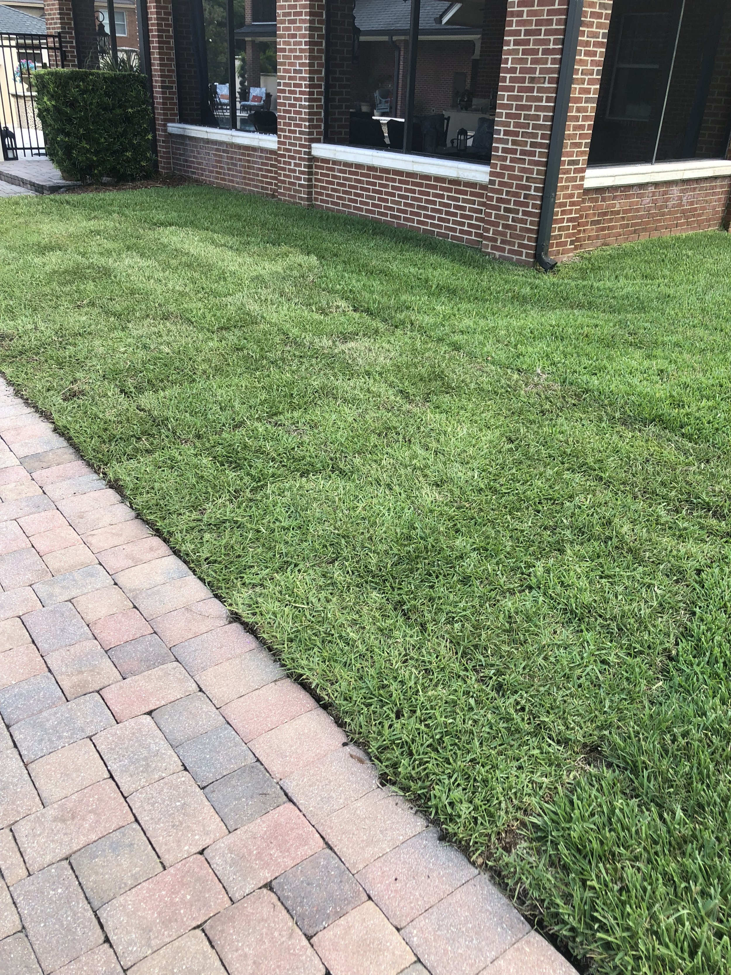 Oviedo Lawn and Landscape Services , Oviedo Sod Installation , Oviedo Irrigation Services , Winter Park Sod Installation Service , Winter Park Lawn and Landscape Services , Winter Park Irrigation Services . Winter Springs Sod Installations , Winter