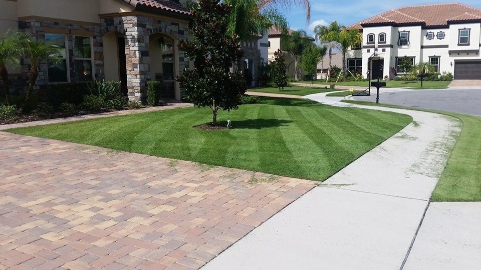 Oviedo Lawn and Landscape Services , Oviedo Sod Installation , Oviedo Irrigation Services , Winter Park Sod Installation Service , Winter Park Lawn and Landscape Services , Winter Park Irrigation Services . Winter Springs Sod Installations , Winter