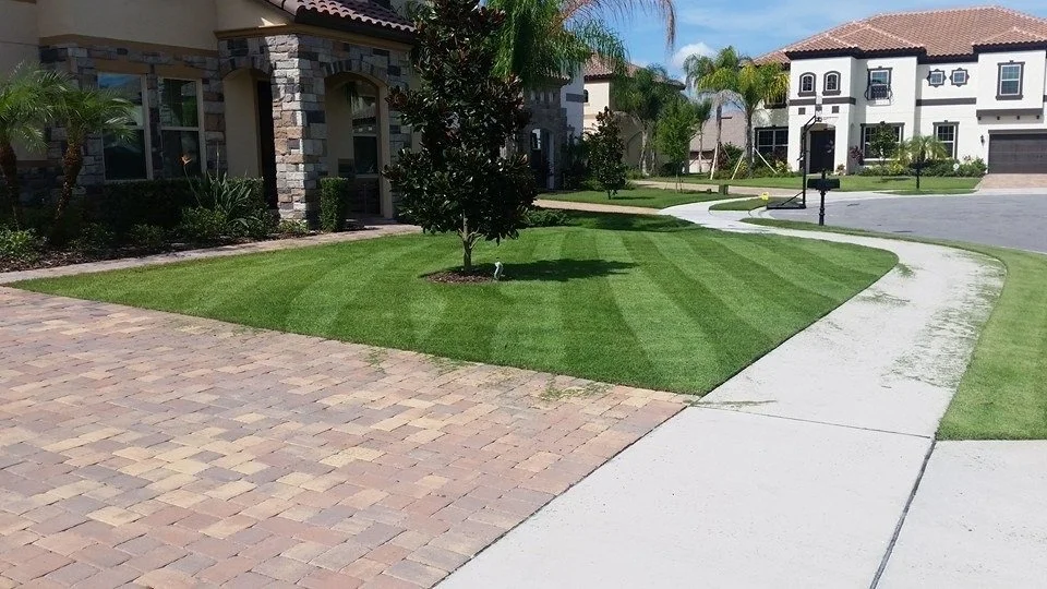 Well-maintained front yard with a curved concrete sidewalk, green lawn with striped mowing pattern, small tree, and houses in the background.
