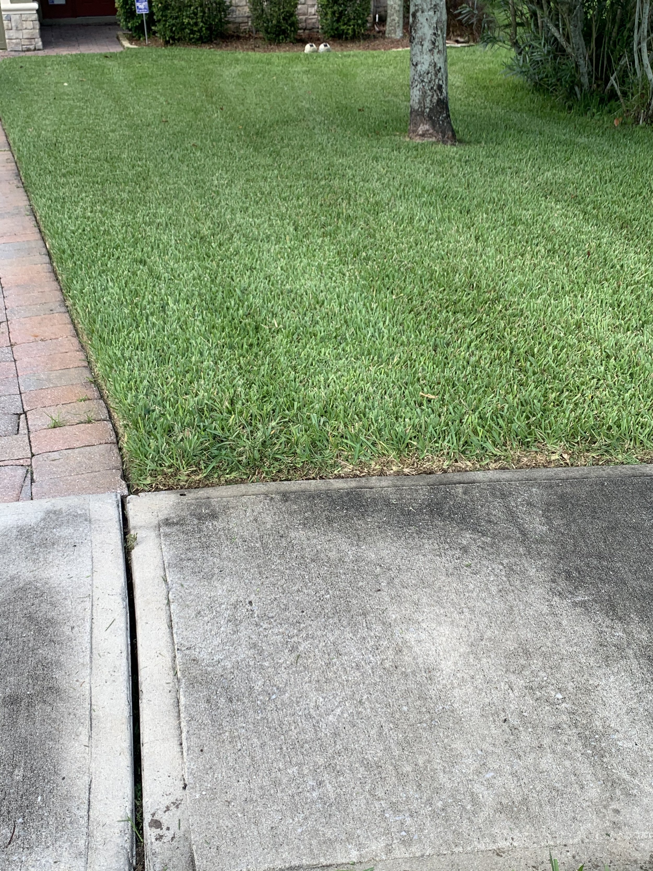 Oviedo Lawn and Landscape Services , Oviedo Sod Installation , Oviedo Irrigation Services , Winter Park Sod Installation Service , Winter Park Lawn and Landscape Services , Winter Park Irrigation Services . Winter Springs Sod Installations , Winter