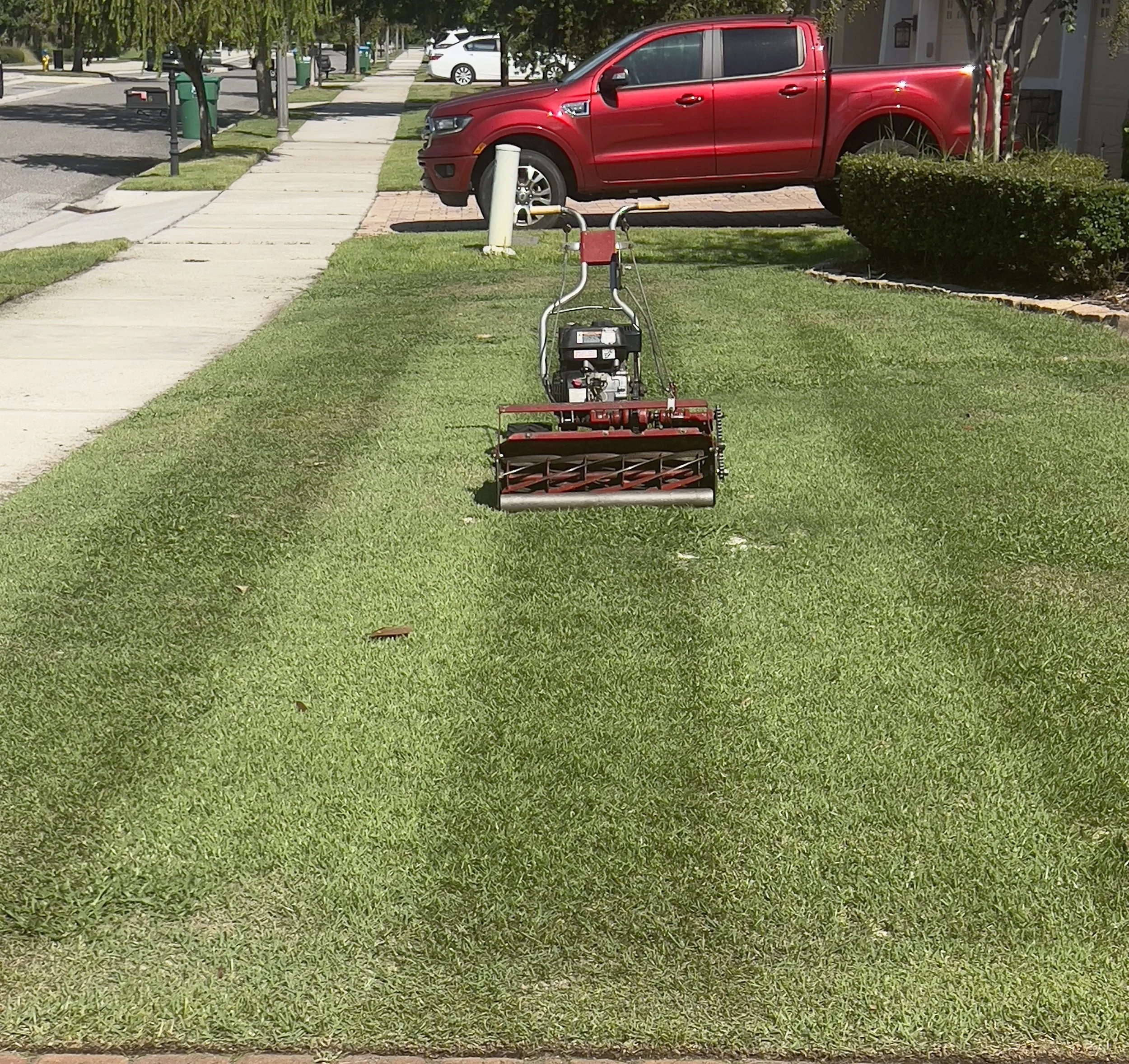 Your Winter Springs Lawn Care Partner