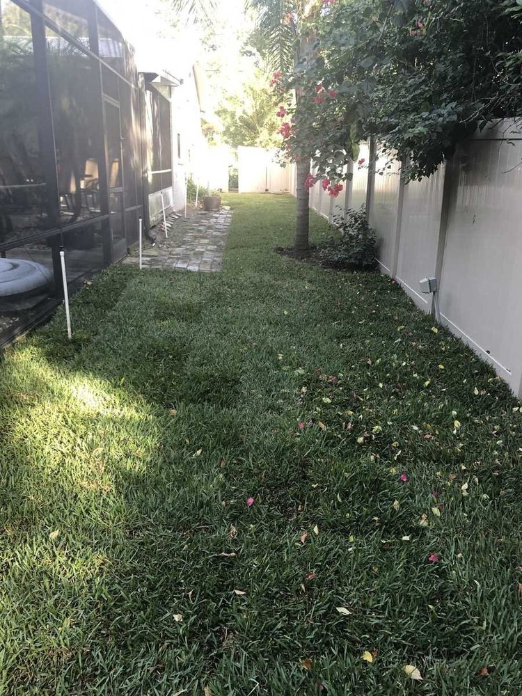 Finished St. Augustine sod lawn in a Central Florida side yard installed by Michael Geist's Yard Works