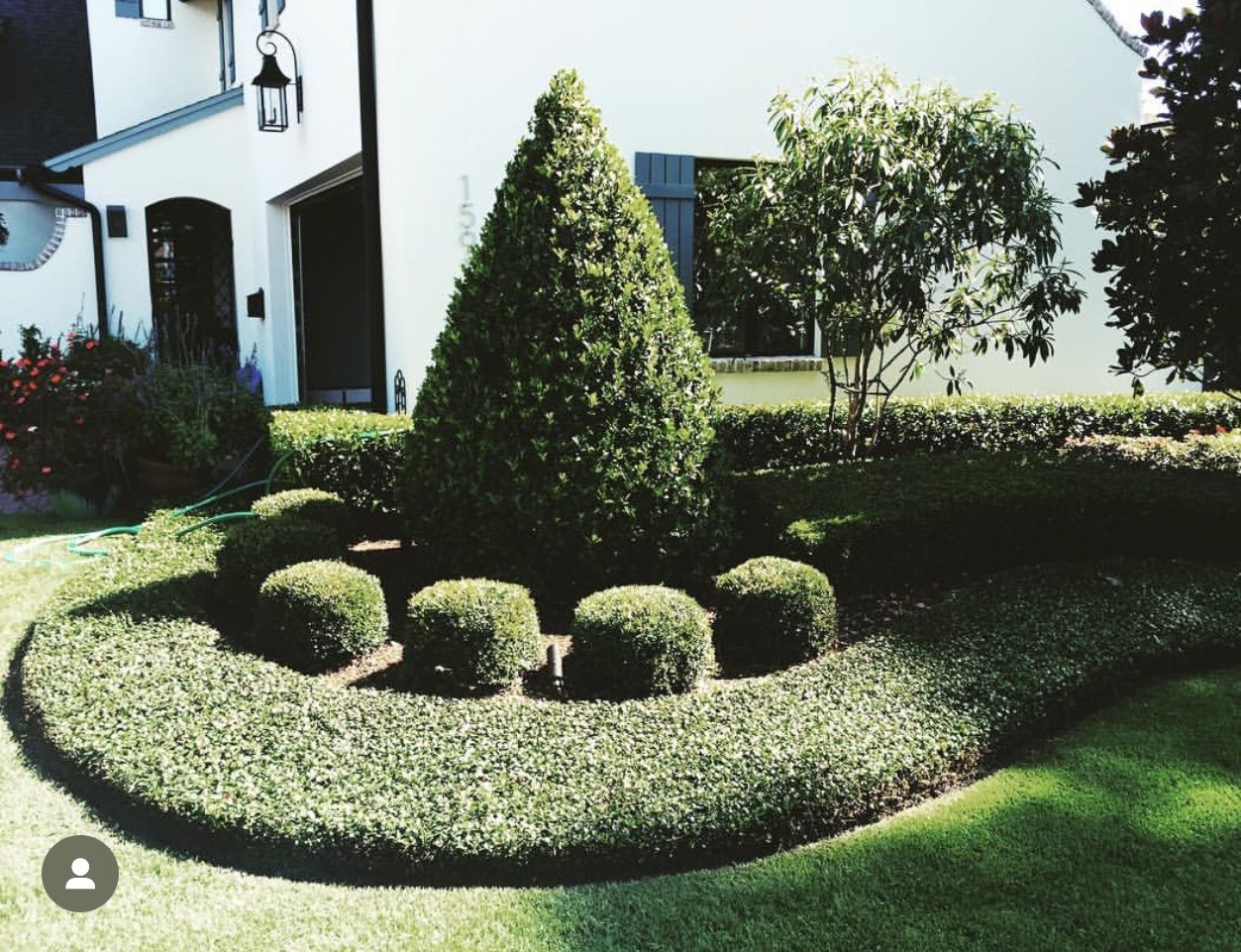 Oviedo Lawn and Landscape Services , Oviedo Sod Installation , Oviedo Irrigation Services , Winter Park Sod Installation Service , Winter Park Lawn and Landscape Services , Winter Park Irrigation Services . Winter Springs Sod Installations , Winter
