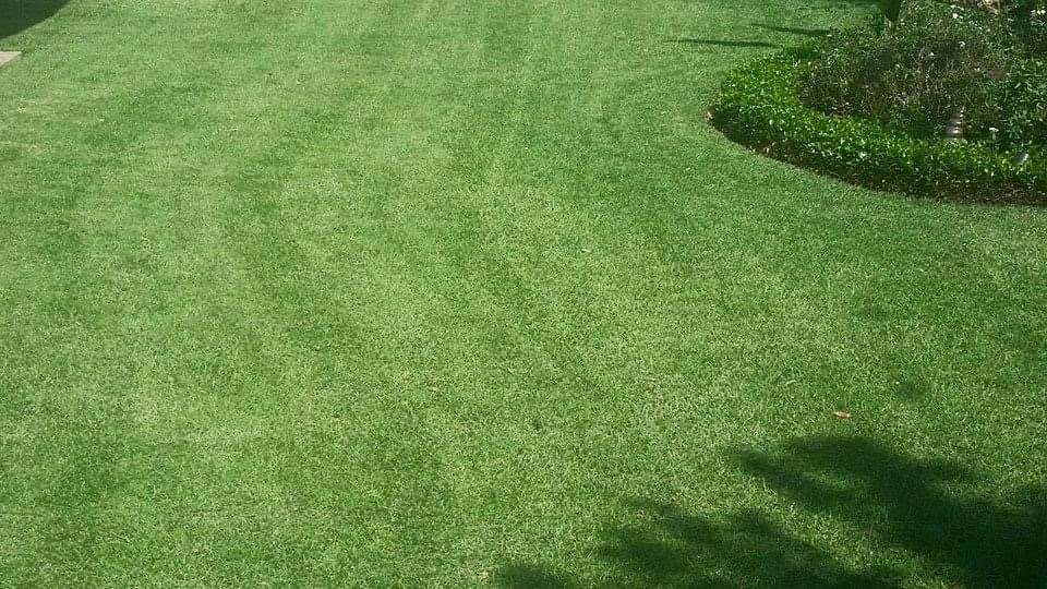 Oviedo Lawn and Landscape Services , Oviedo Sod Installation , Oviedo Irrigation Services , Winter Park Sod Installation Service , Winter Park Lawn and Landscape Services , Winter Park Irrigation Services . Winter Springs Sod Installations , Winter