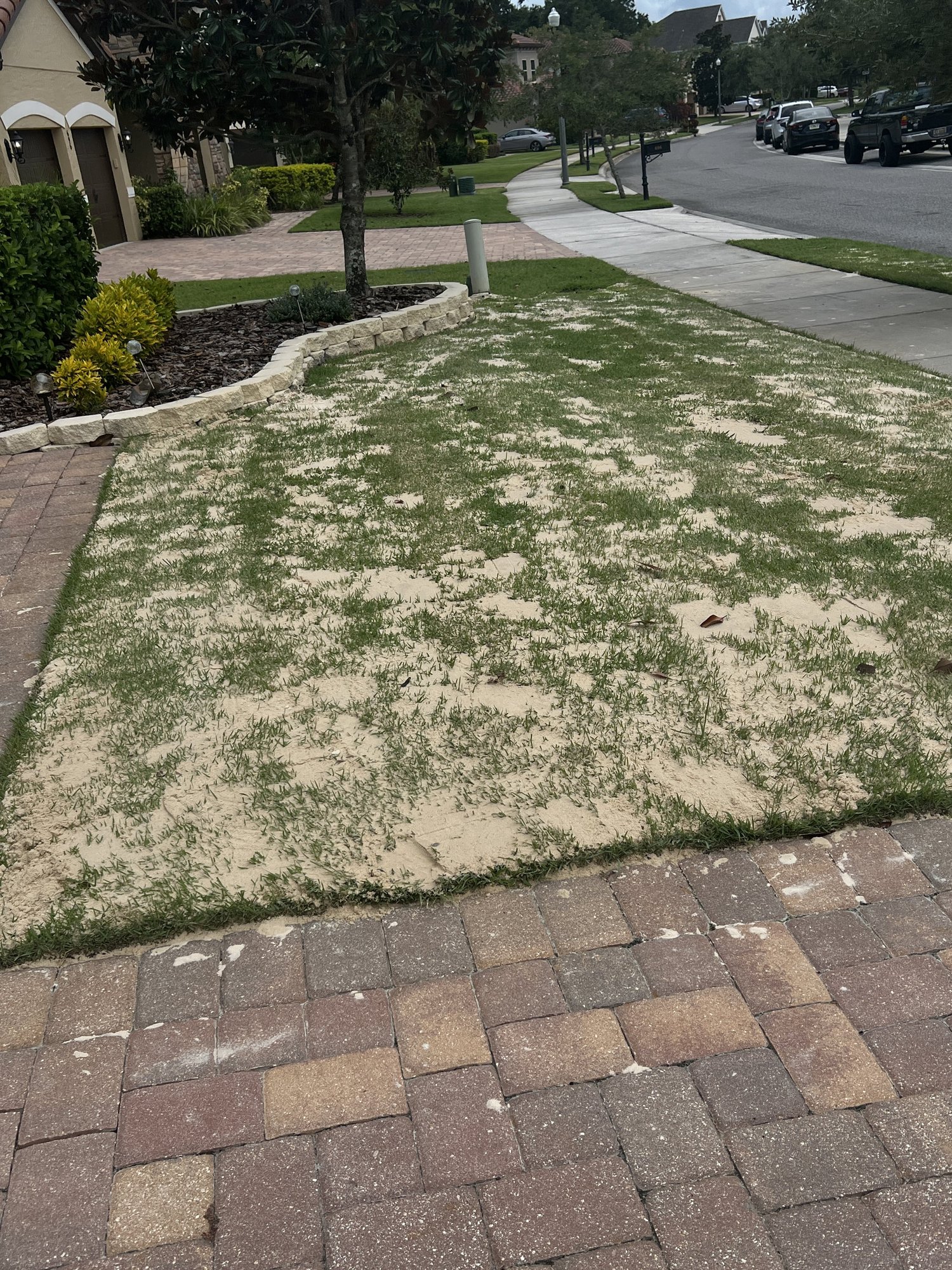 Preparing a Winter Park FL lawn for top dressing and aeration — Michael Geist's Yard Works crew at work