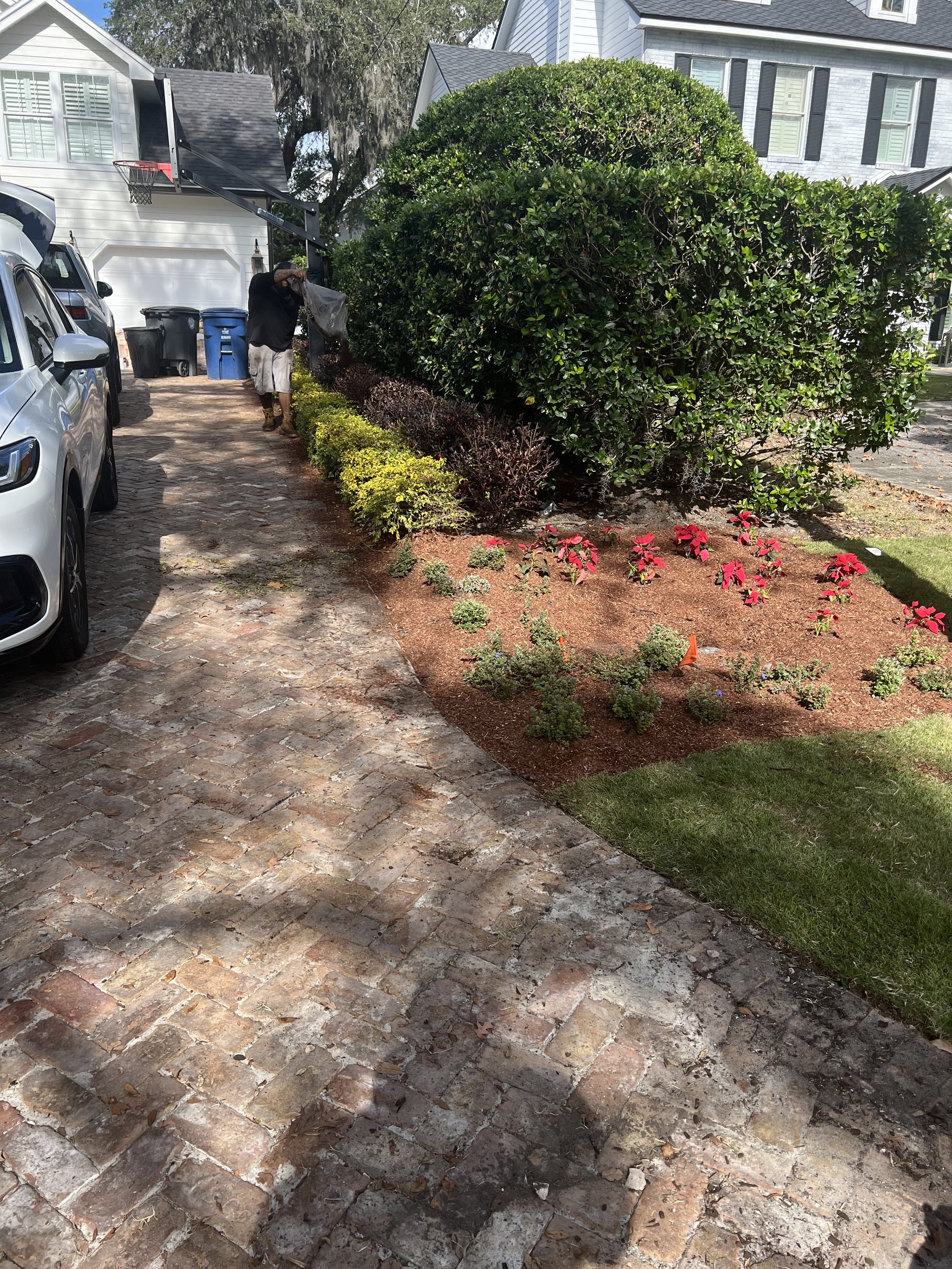 WInter Park Landscape Installation and renovation at 1411 Place Picardy including CitraZoy Zoysia Sod Installation which is watered by a irrigation make over that includes conversion over to Hunter MPR's .   RockBed Landscape Make over . All work com