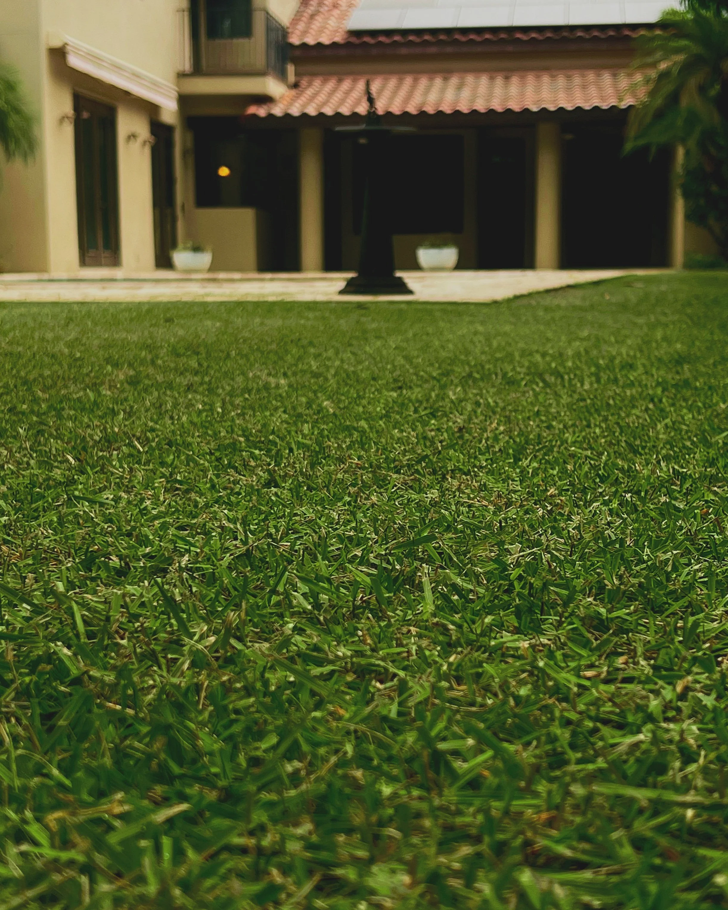 Golden Oak Reel Mowing Lawn and Landscape Service for Zoysia Lawn Care in greater Orlando Florida Market