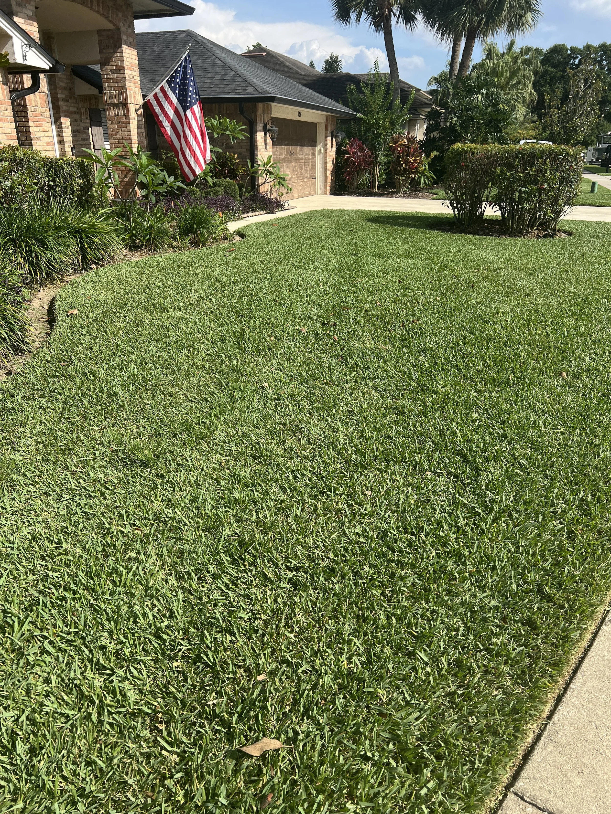 St. Augustine Pro Vista Sod Installation performed by Michael Geist's Yard Works in ths stunning Oviedo Lawn .  Lawn Maintenance and horticultural services provided by Michael Geist's Yard Works as well. 