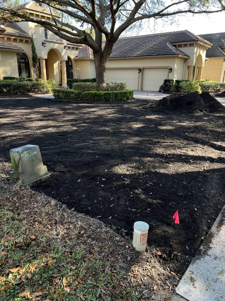 Front yard in Winter Park Florida amended with dark COMAND compost before sod installation