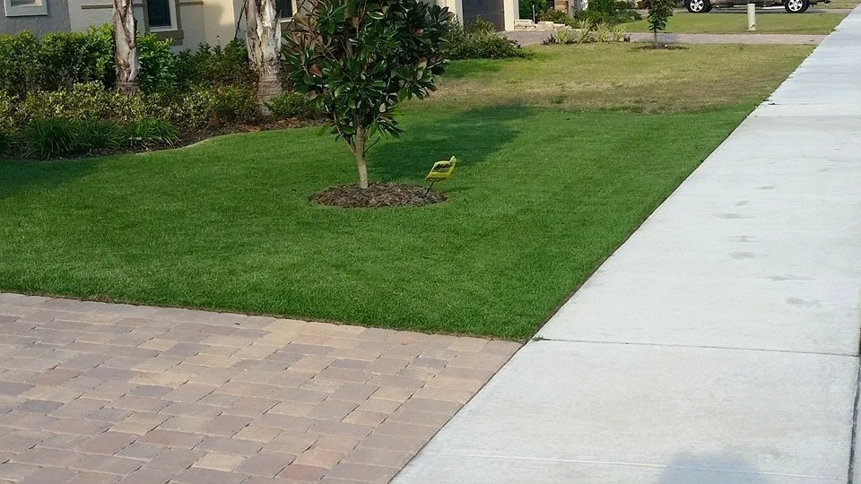 Oviedo Lawn and Landscape Services , Oviedo Sod Installation , Oviedo Irrigation Services , Winter Park Sod Installation Service , Winter Park Lawn and Landscape Services ,  Winter Park Irrigation Services . Winter Springs Sod Installations , Winter 