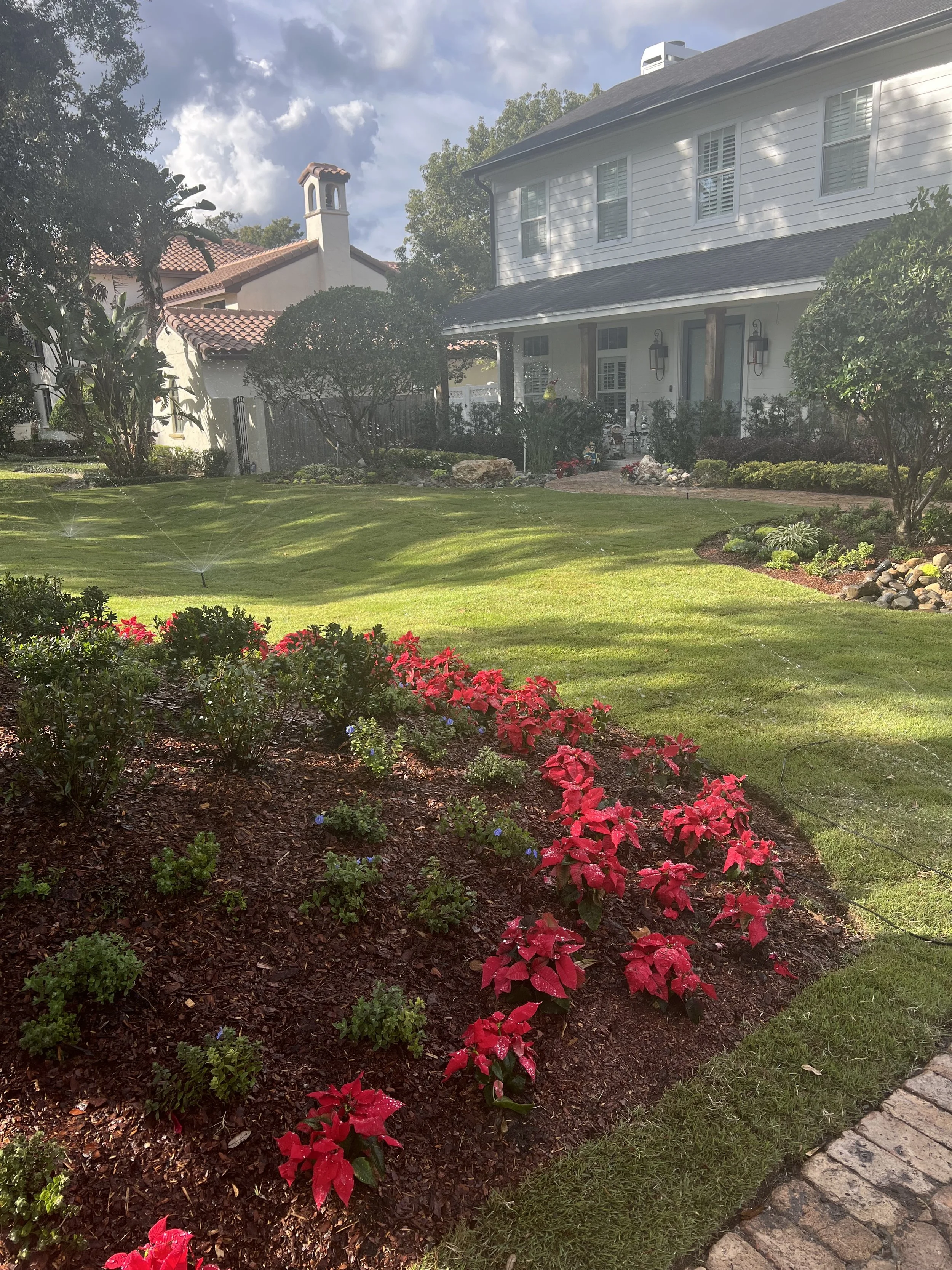 WInter Park Landscape Installation and renovation at 1411 Place Picardy including CitraZoy Zoysia Sod Installation which is watered by a irrigation make over that includes conversion over to Hunter MPR's .   RockBed Landscape Make over . All work com