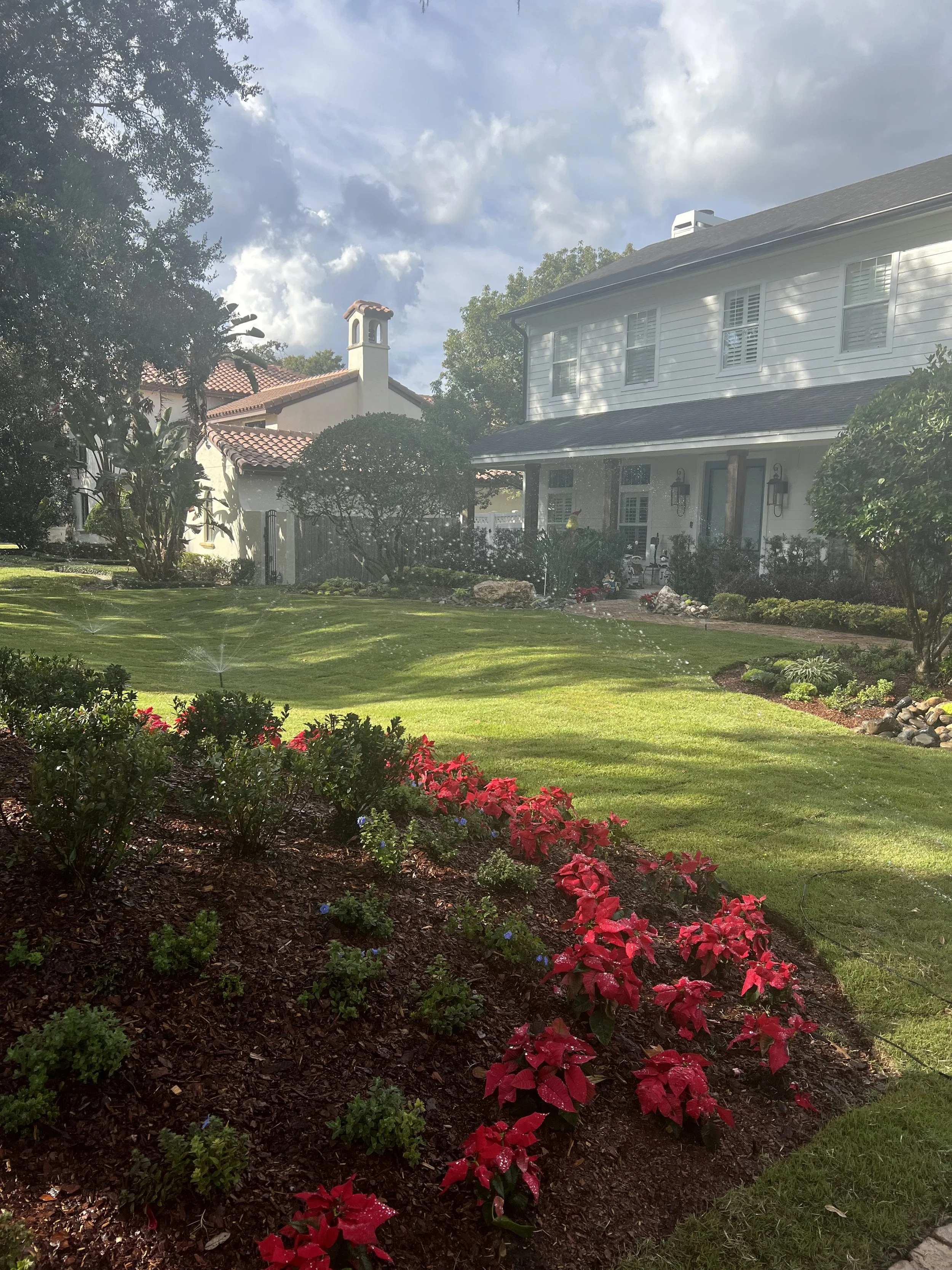 WInter Park Landscape Installation and renovation at 1411 Place Picardy including CitraZoy Zoysia Sod Installation which is watered by a irrigation make over that includes conversion over to Hunter MPR's .   RockBed Landscape Make over . All work com