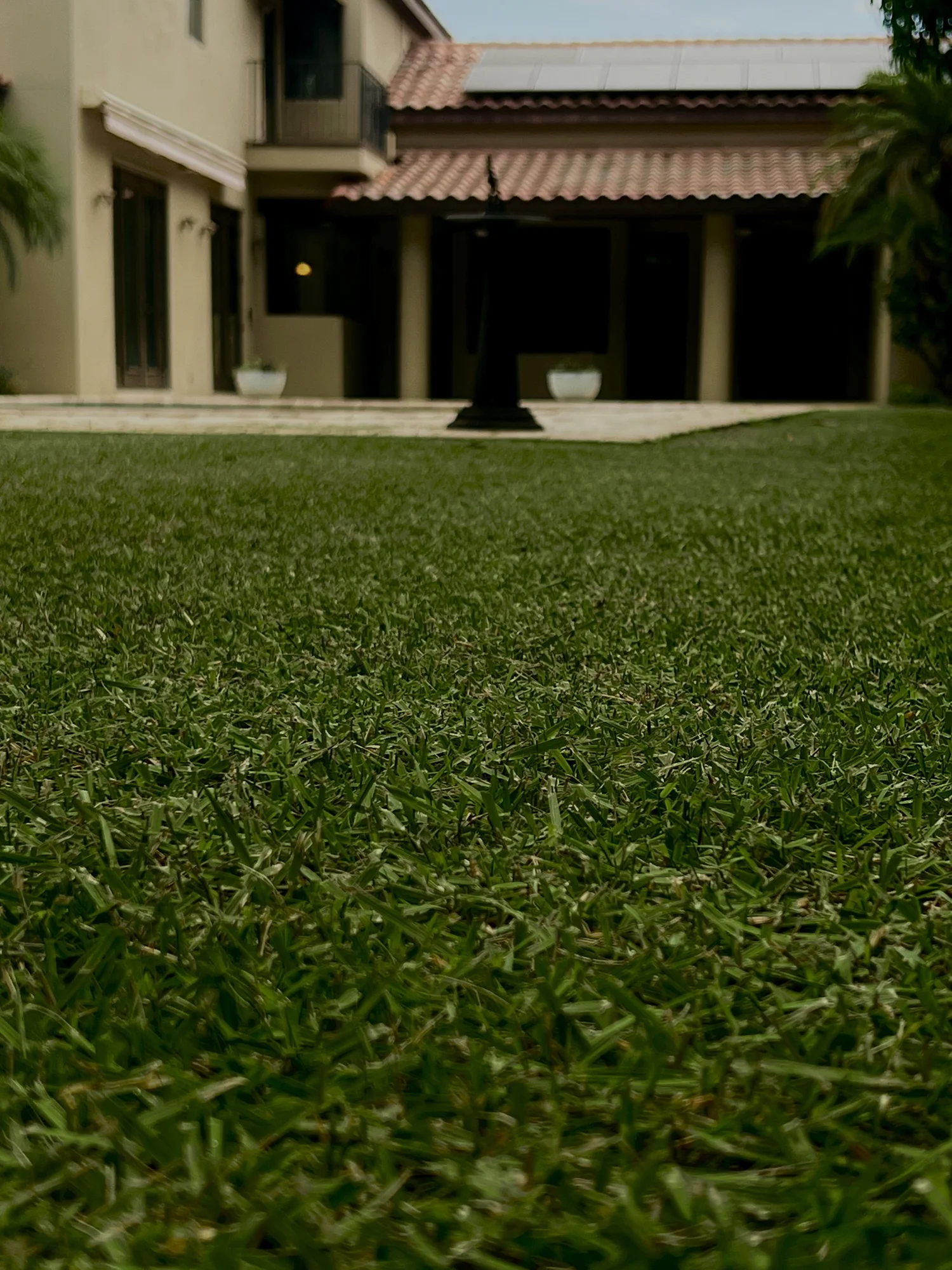 Winter Park FL lawn after professional top dressing by Michael Geist's Yard Works — smooth, level surface ready for reel mowing