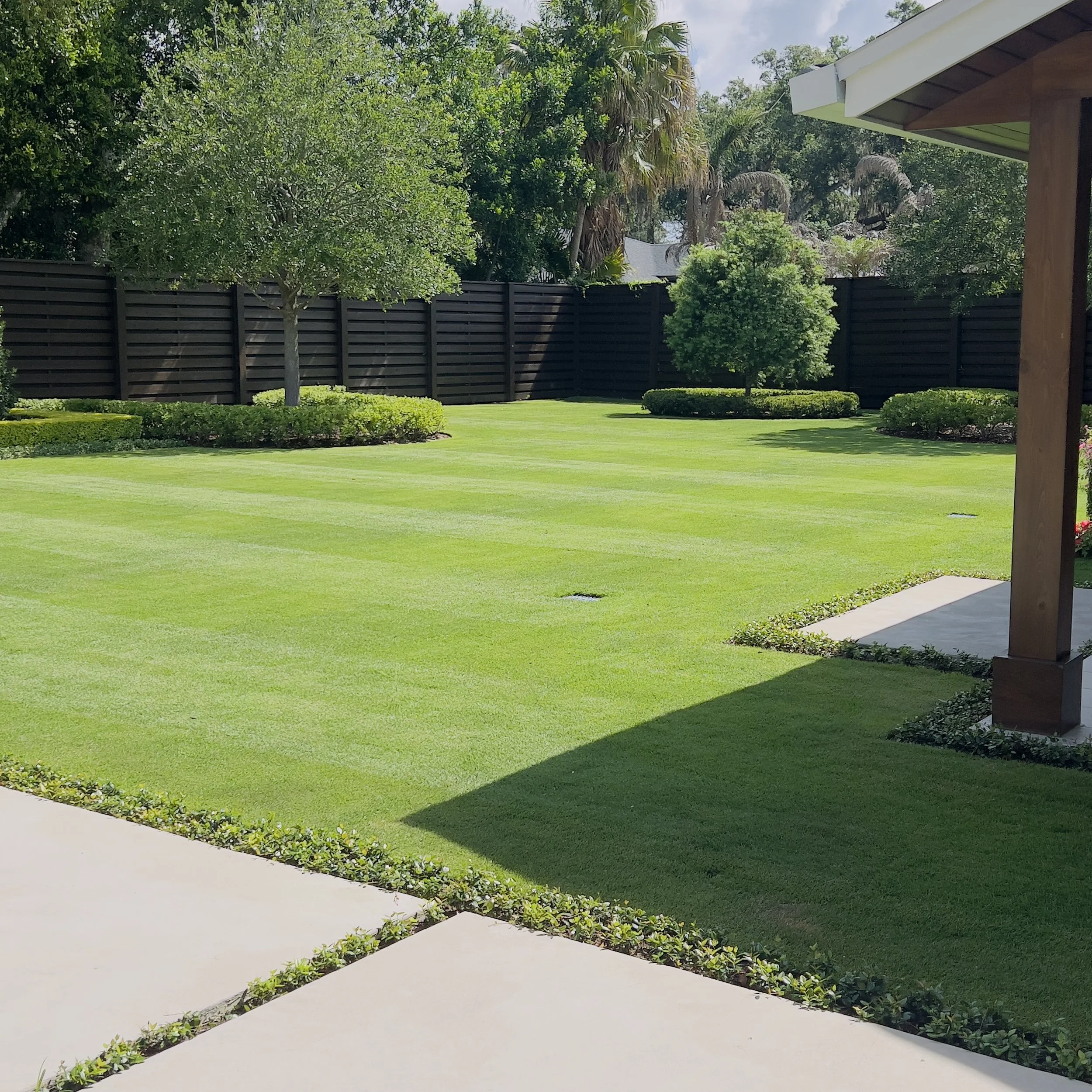 Zoysia (citrazoy cultivar ) Sod  Zone 9b | Michael Geist's Yard Work