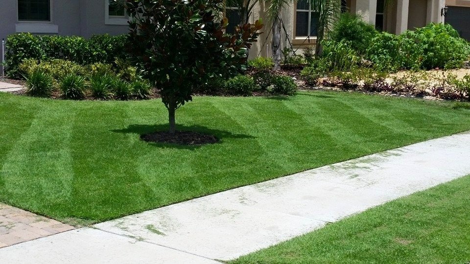 Oviedo Lawn and Landscape Services , Oviedo Sod Installation , Oviedo Irrigation Services , Winter Park Sod Installation Service , Winter Park Lawn and Landscape Services , Winter Park Irrigation Services . Winter Springs Sod Installations , Winter