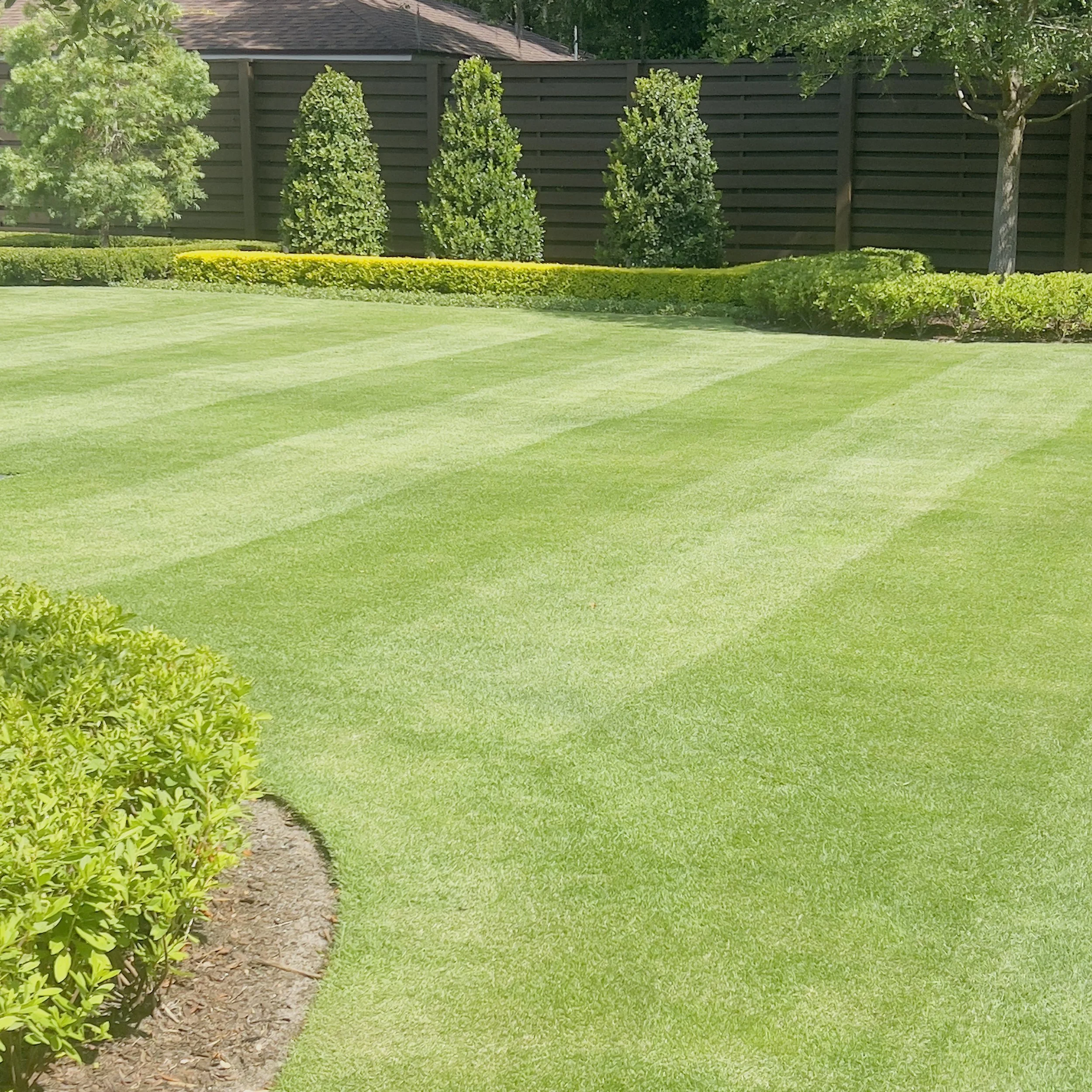 Winter Park 32789 Lawn and Landscape Service (zoysia expert)  |Michael Geist's Yard Works