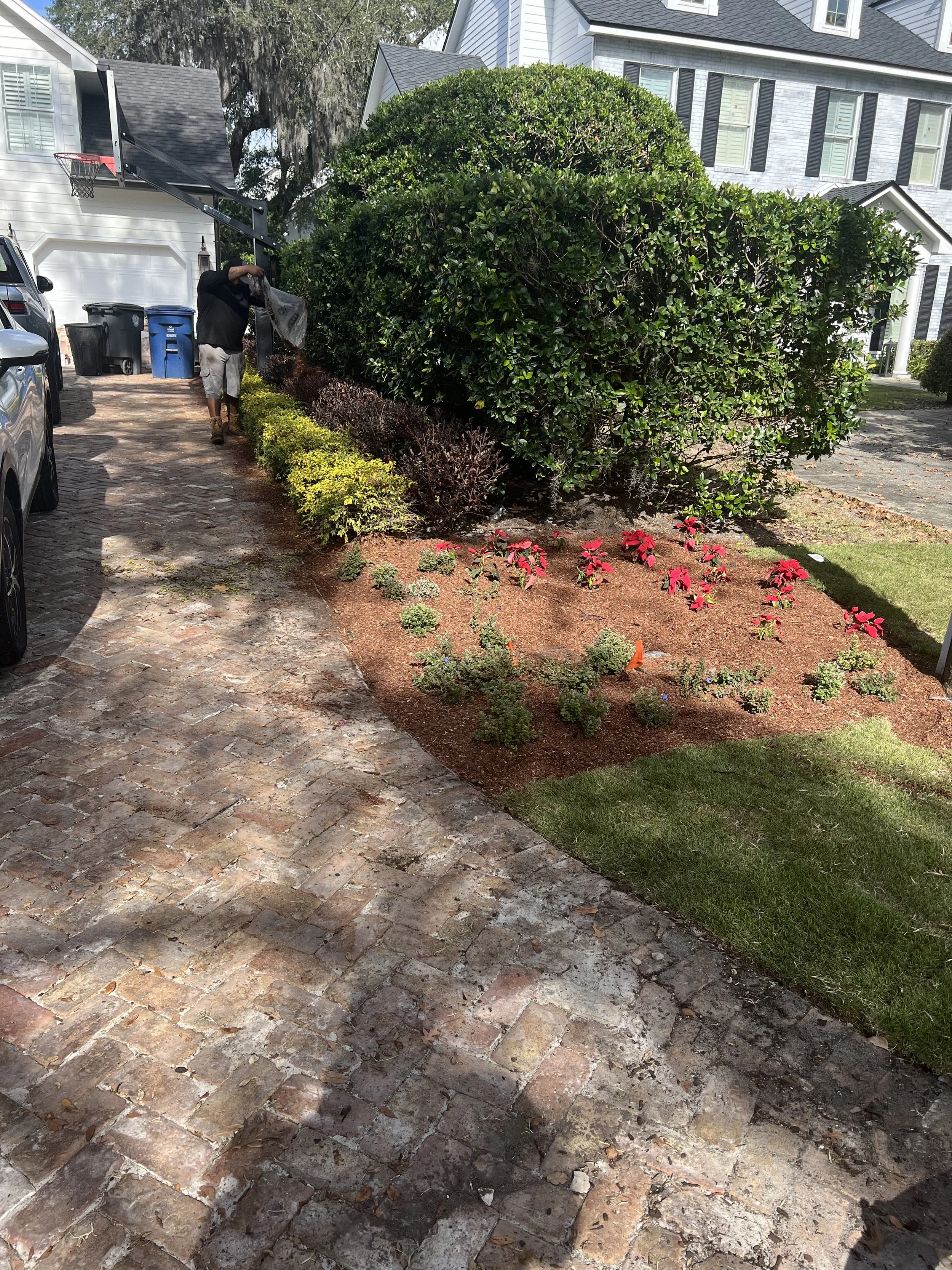 WInter Park Landscape Installation and renovation at 1411 Place Picardy including CitraZoy Zoysia Sod Installation which is watered by a irrigation make over that includes conversion over to Hunter MPR's .   RockBed Landscape Make over . All work com