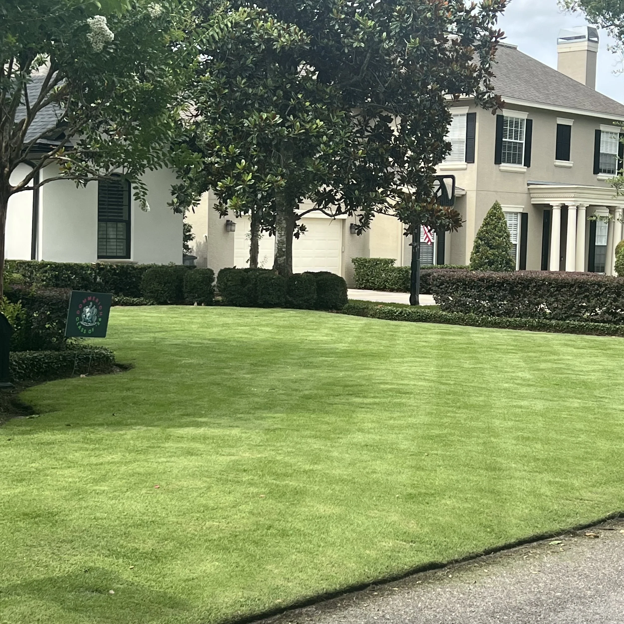 Winter Park Zoysia Sod and Lawn Expert | Michael Geist's Yard Works